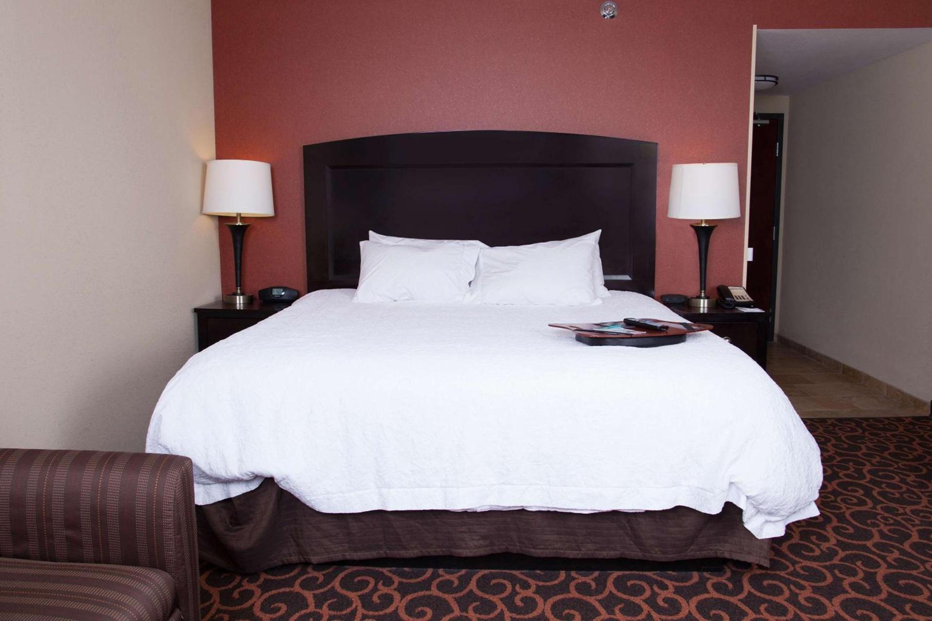 Hampton Inn & Suites Dickinson ND photo 42