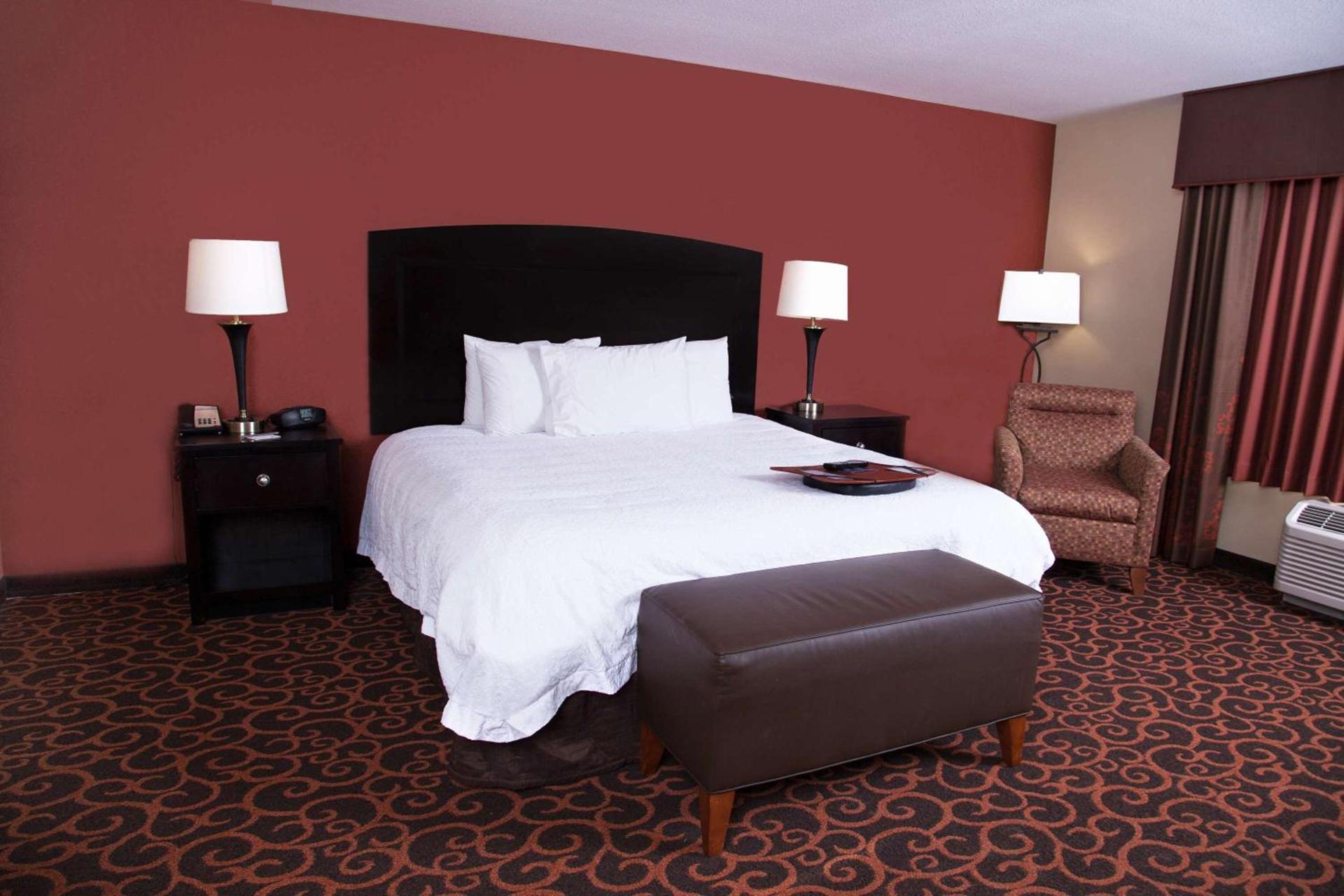 Hampton Inn & Suites Dickinson ND photo 45