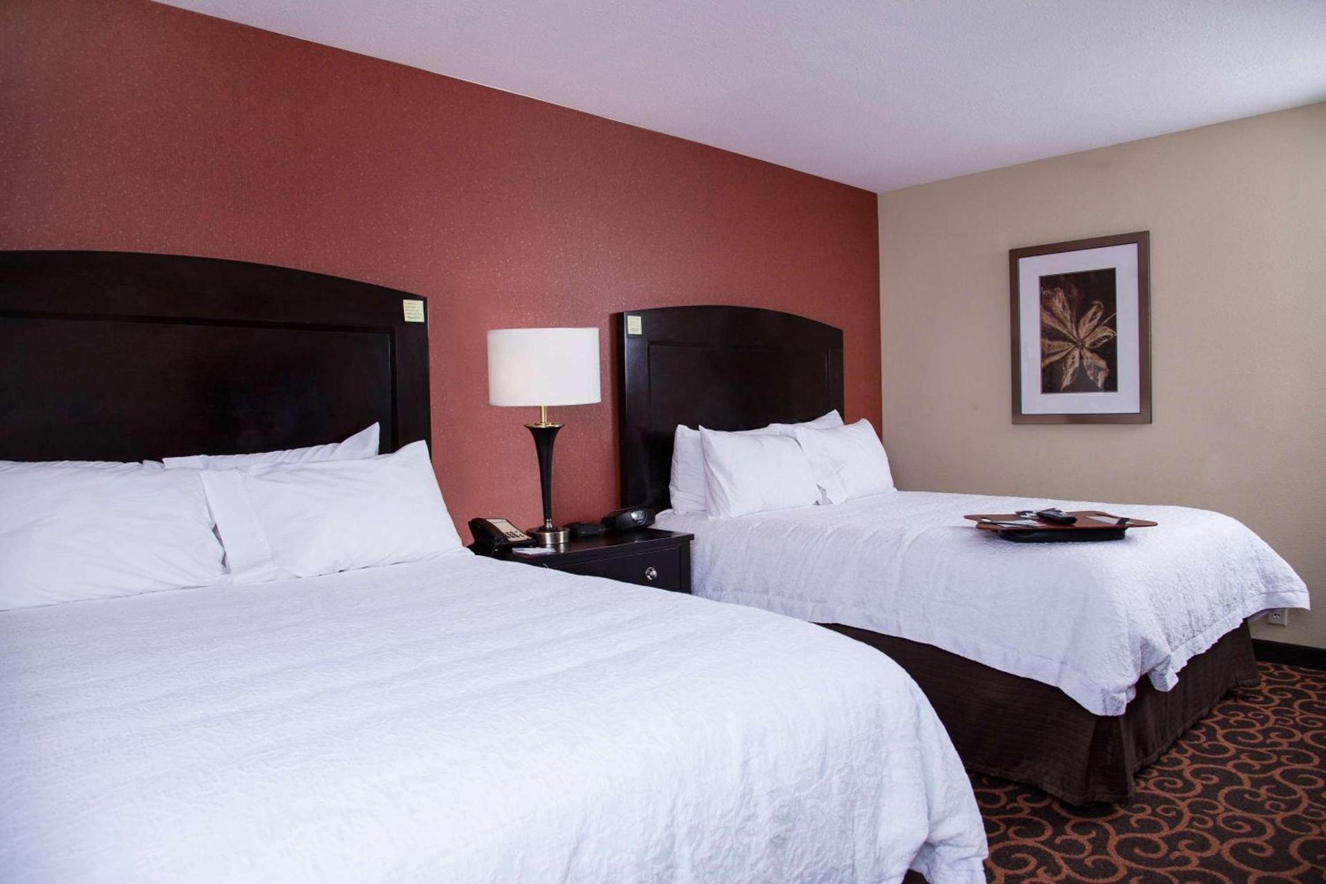 Hampton Inn & Suites Dickinson ND photo 46