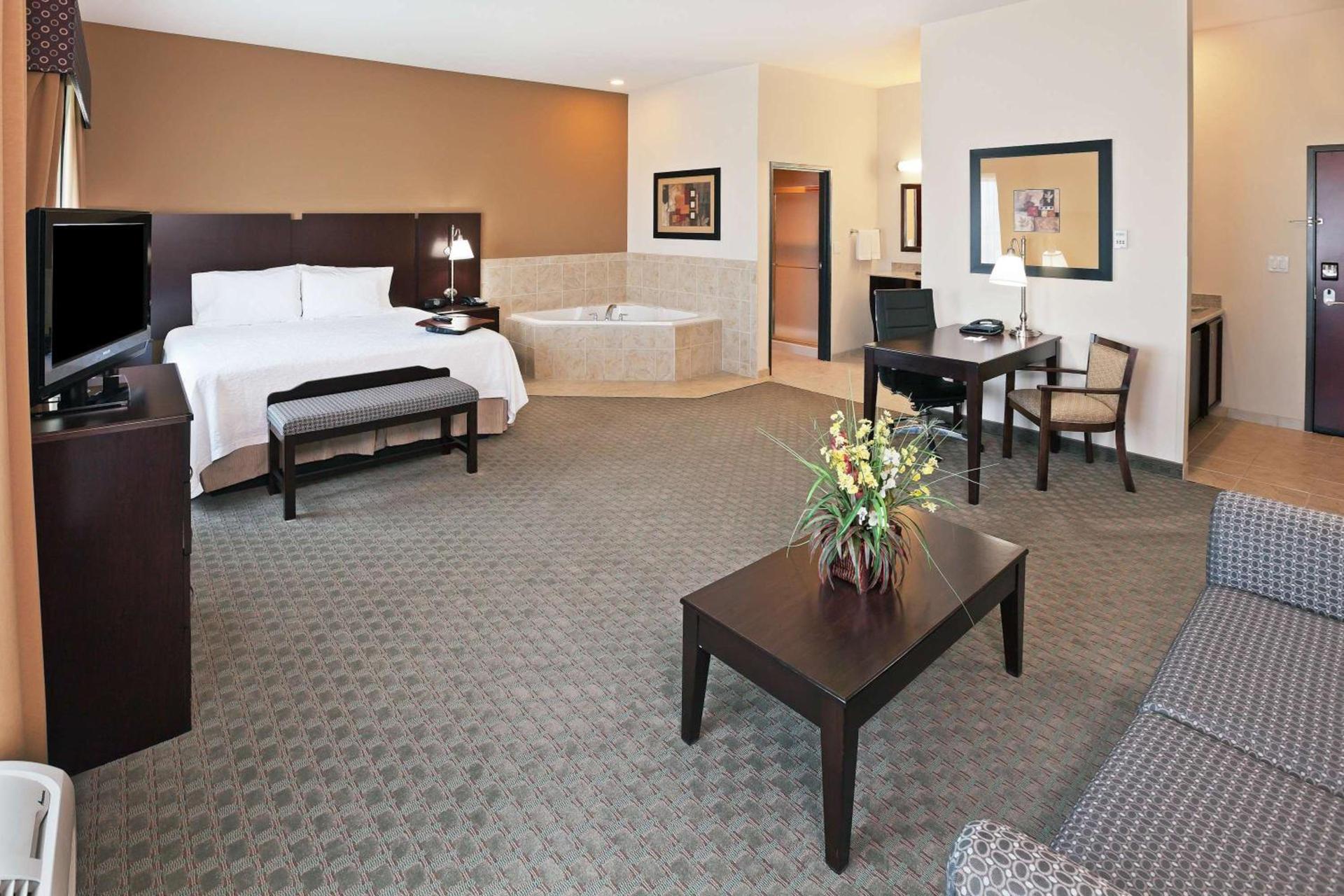 Hampton Inn & Suites Dumas photo 10