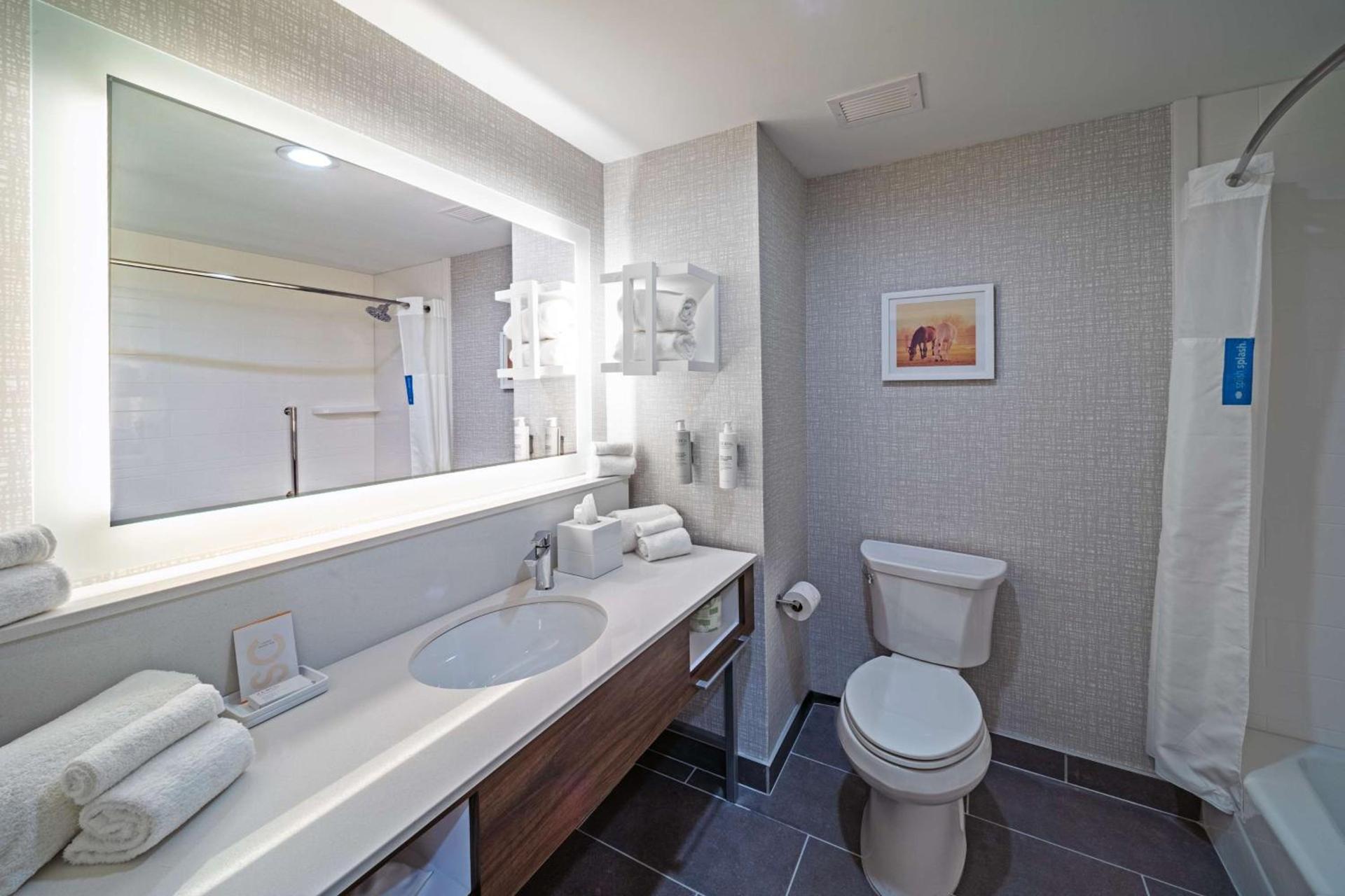 Hampton Inn & Suites Canyon, Tx photo 28