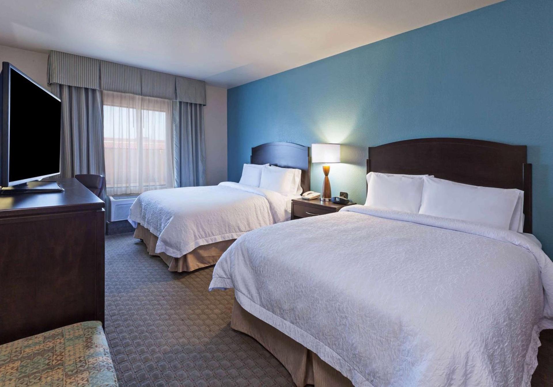 Hampton Inn and Suites Lake Jackson-Clute photo 28