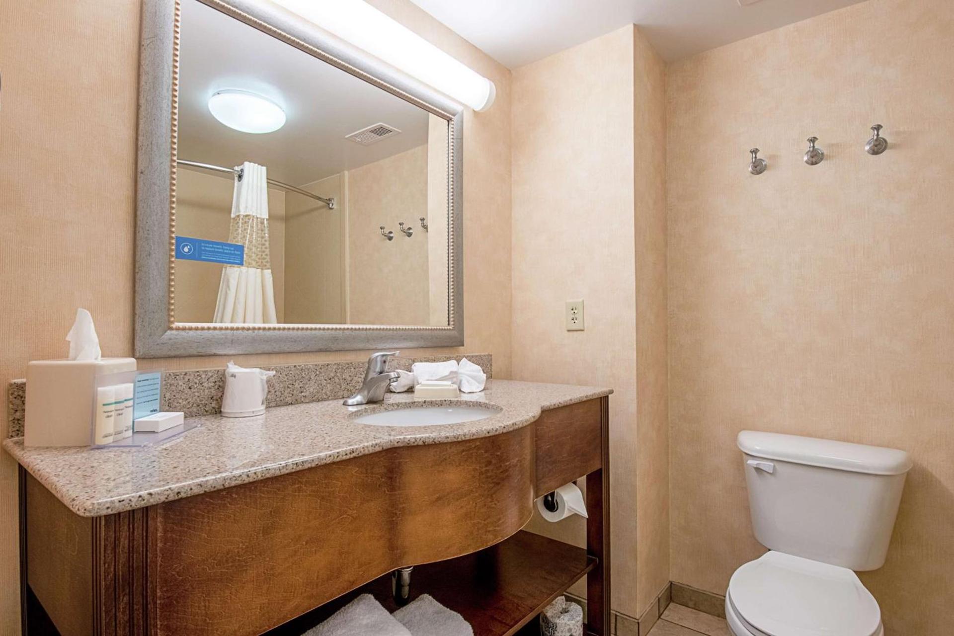 Hampton Inn Pine Grove photo 29