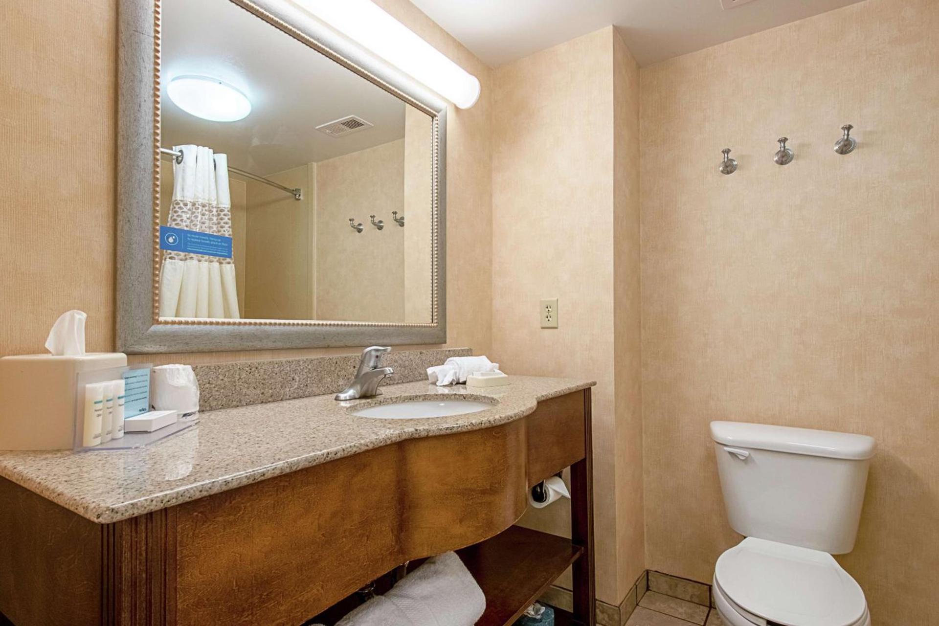 Hampton Inn Pine Grove photo 31
