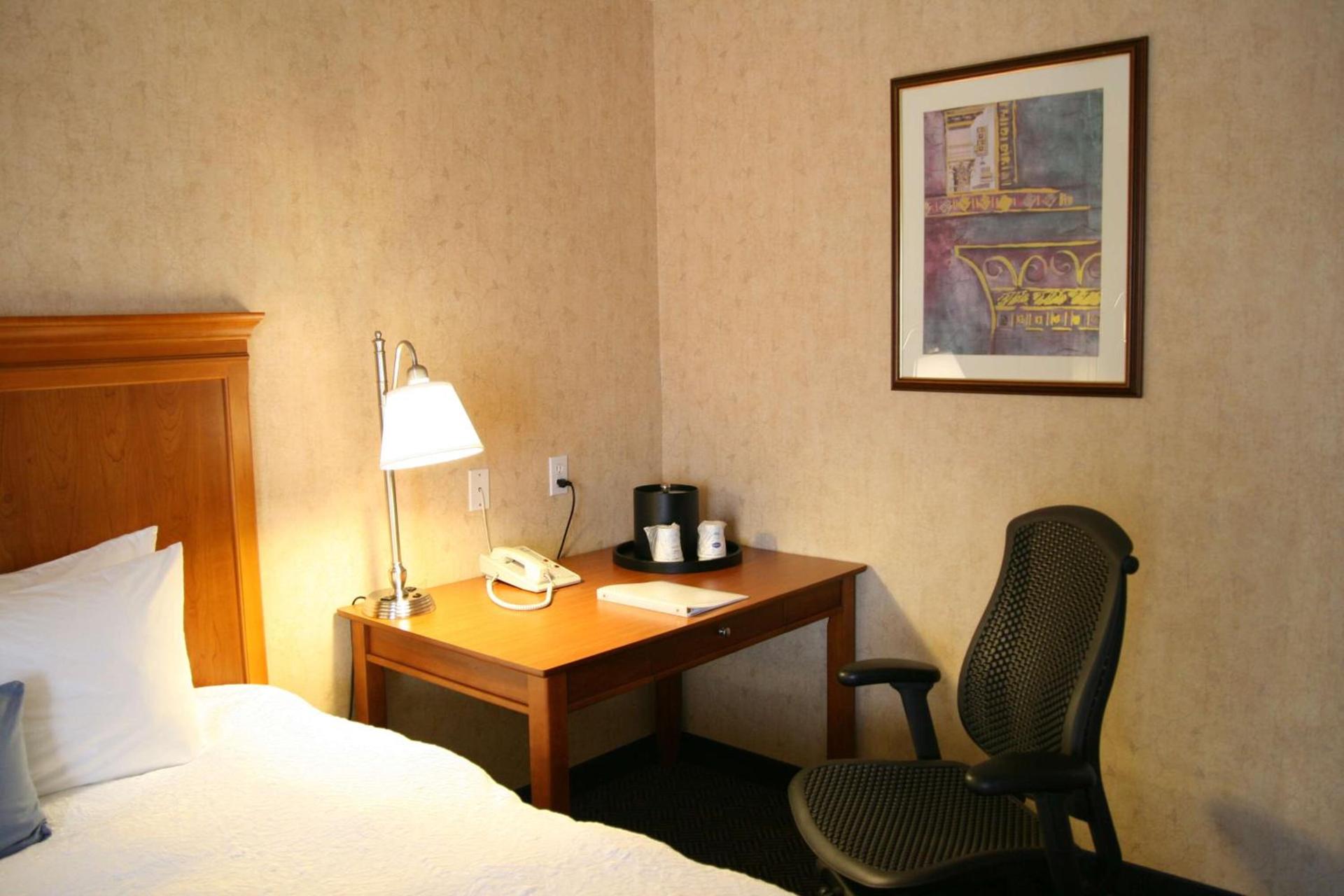Hampton Inn San Marcos photo 42