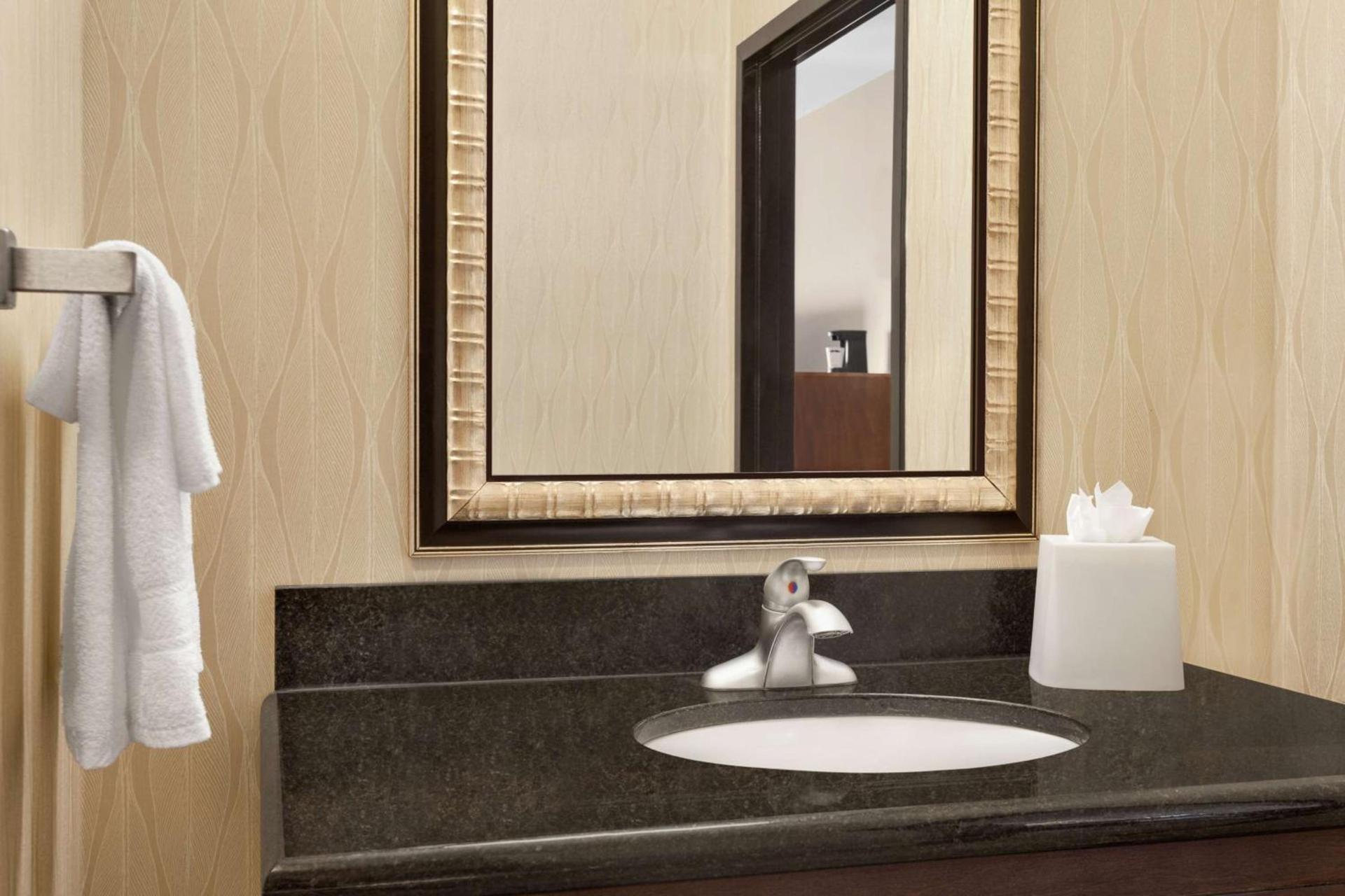 Hampton Inn Sulphur Springs photo 19