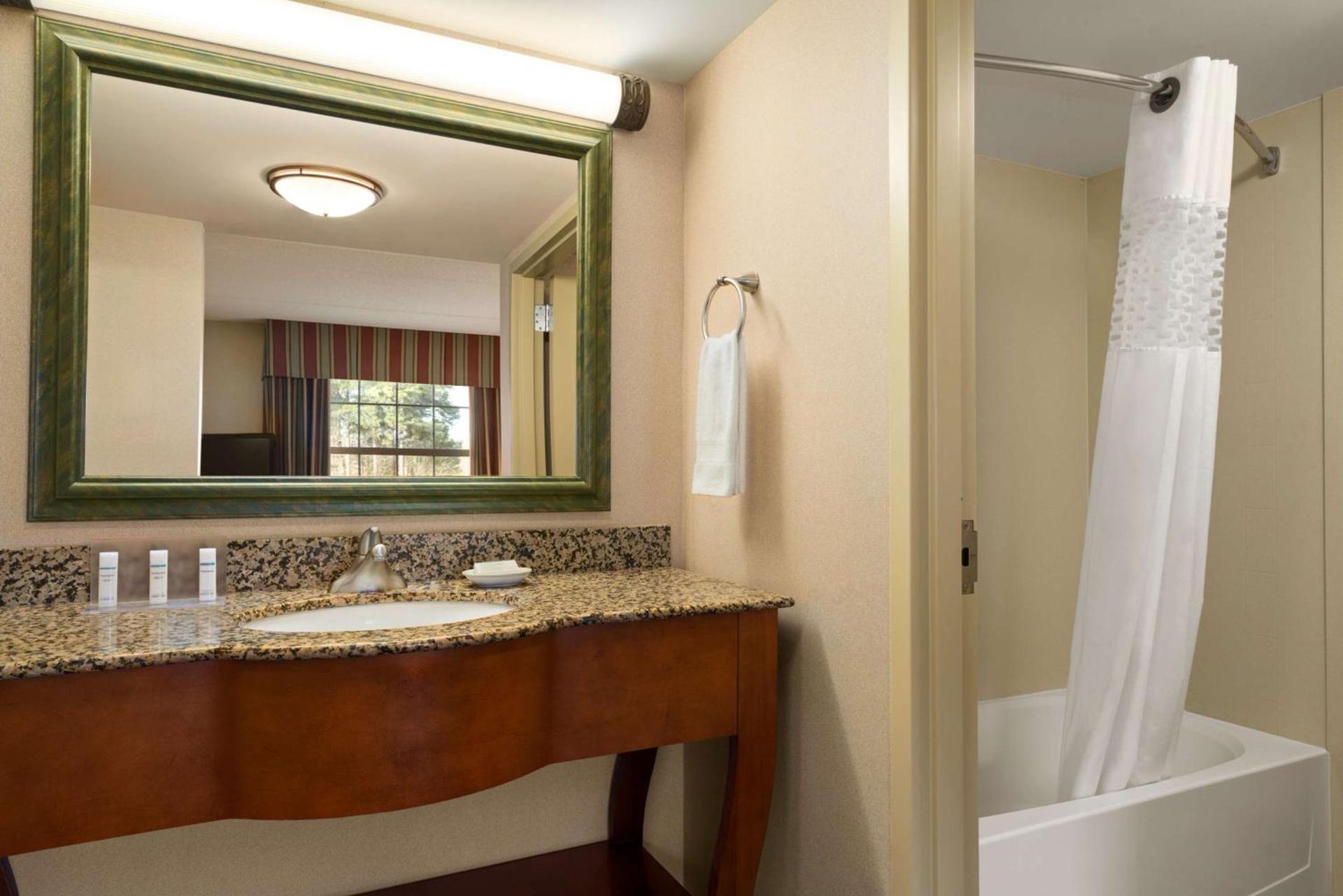 Hampton Inn & Suites Williamsburg-Central photo 15