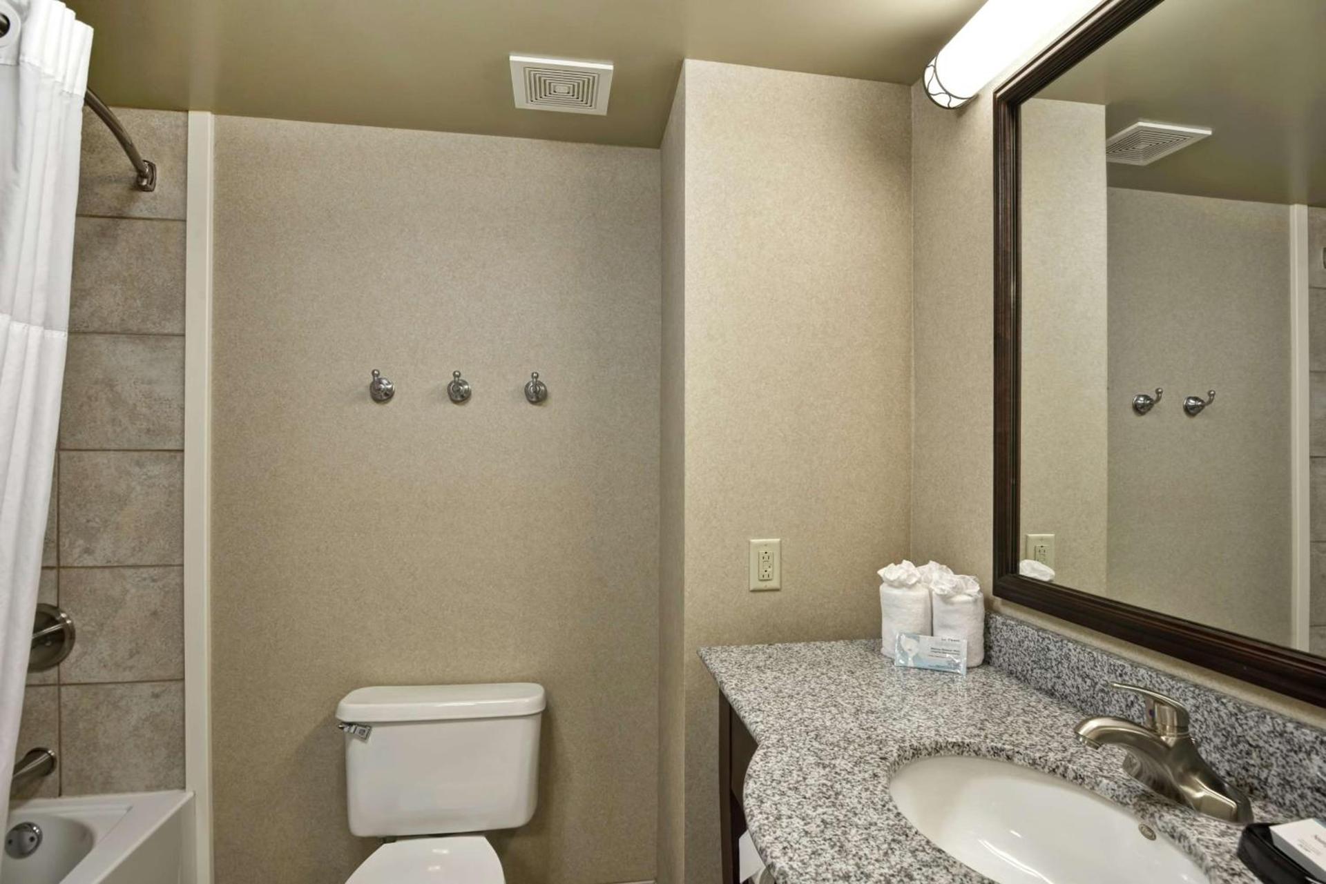 Hampton Inn Sayre photo 30