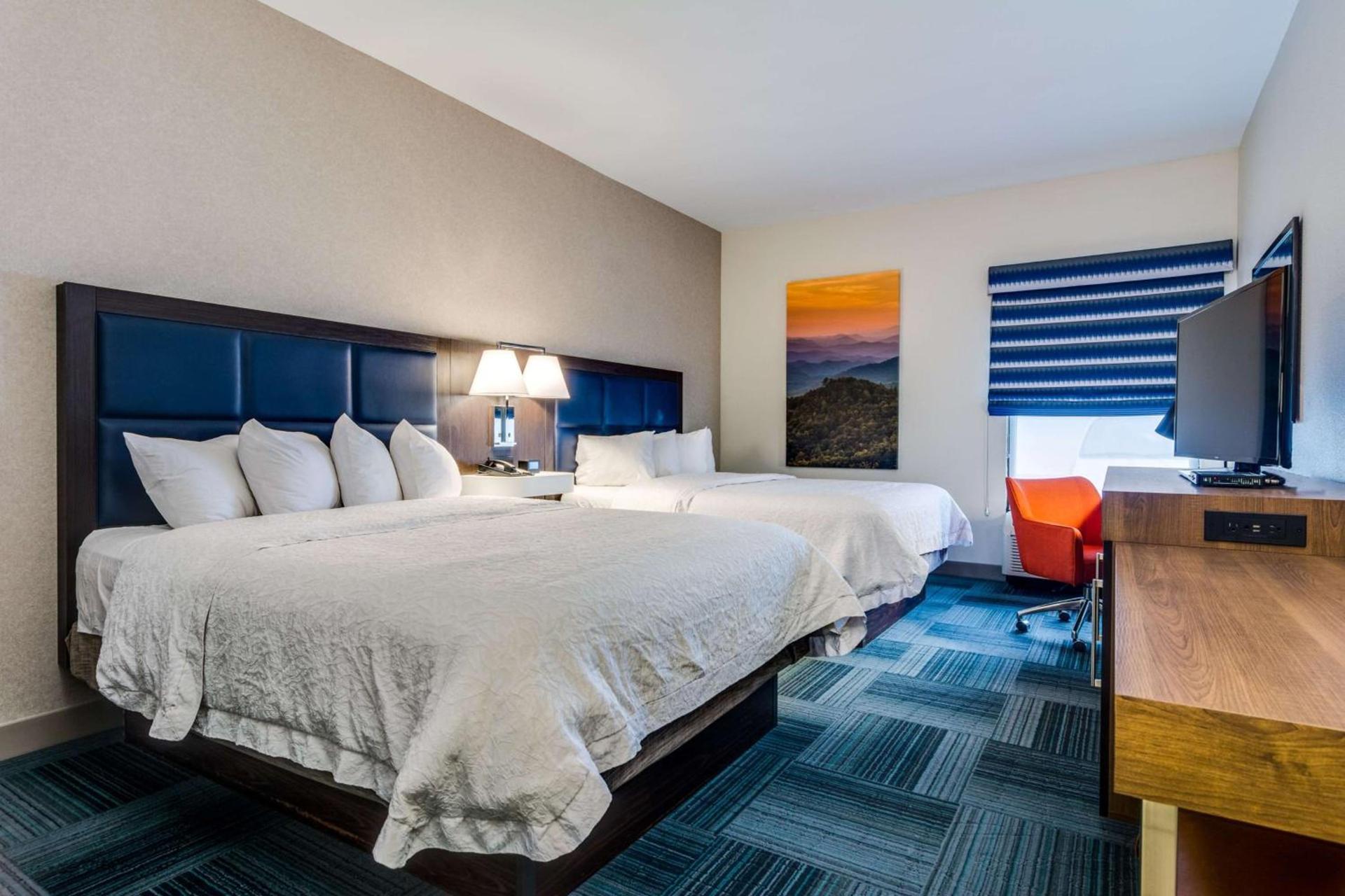 Hampton Inn Johnson City photo 20