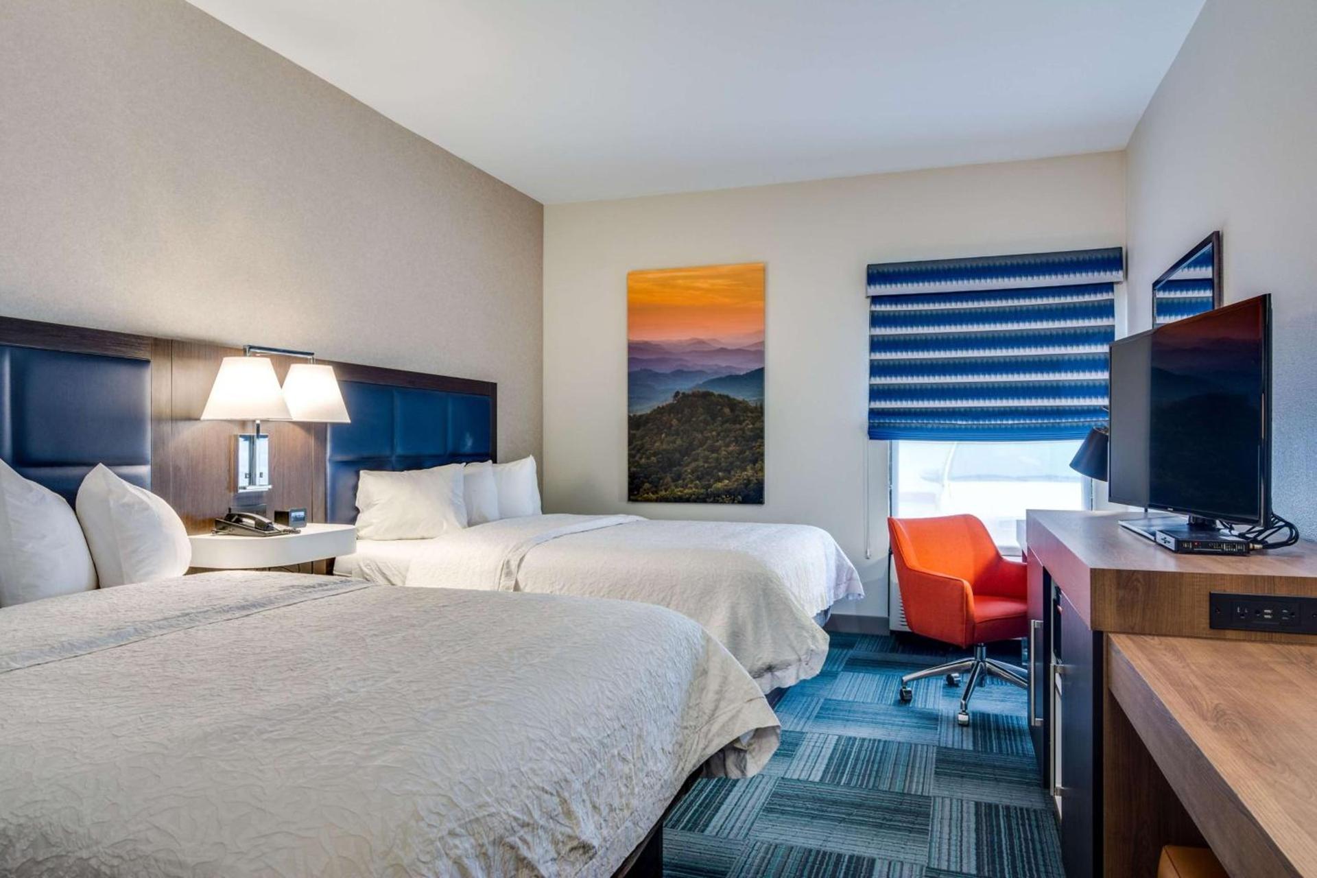 Hampton Inn Johnson City photo 25