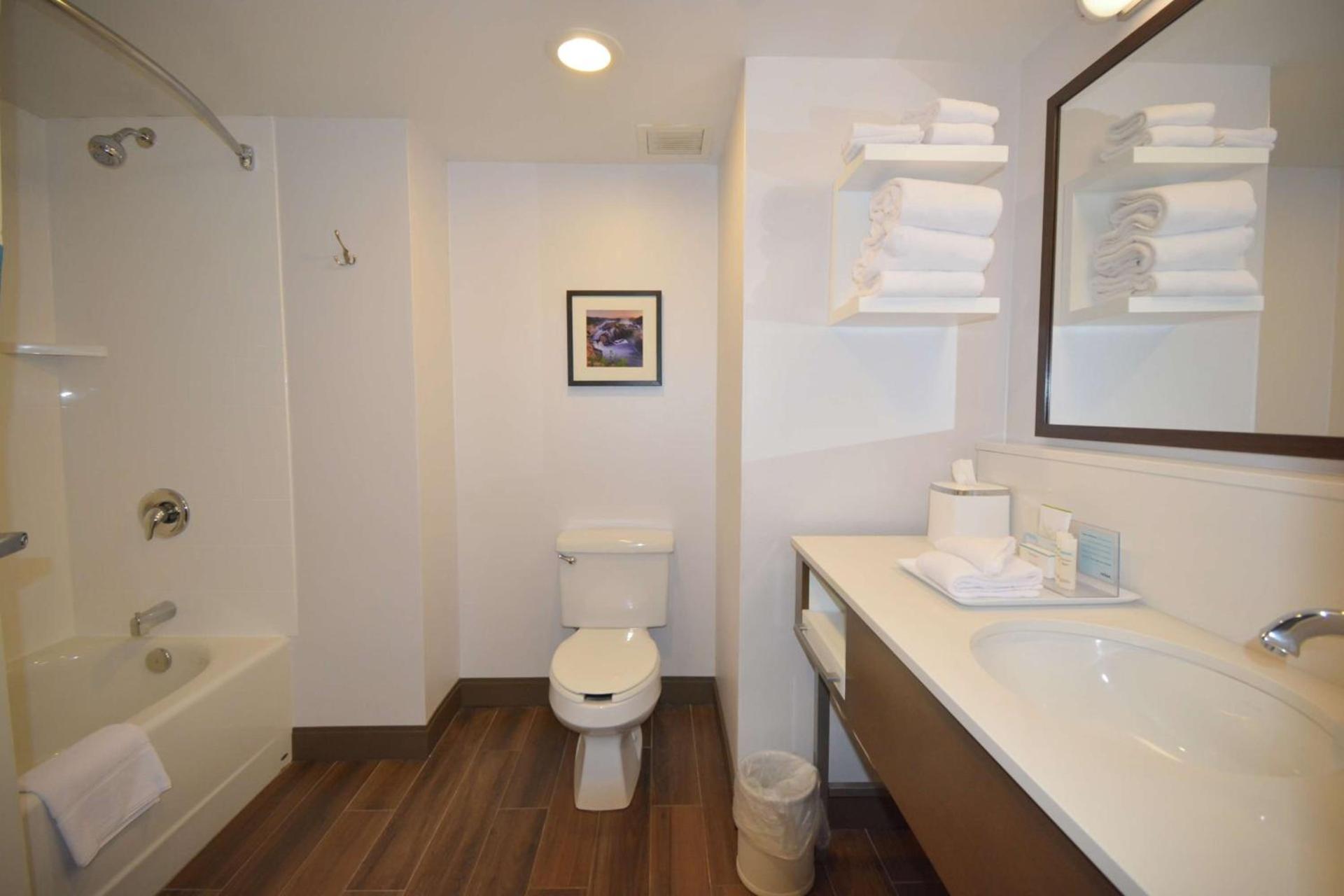 Hampton Inn Salem East - Electric Road photo 17