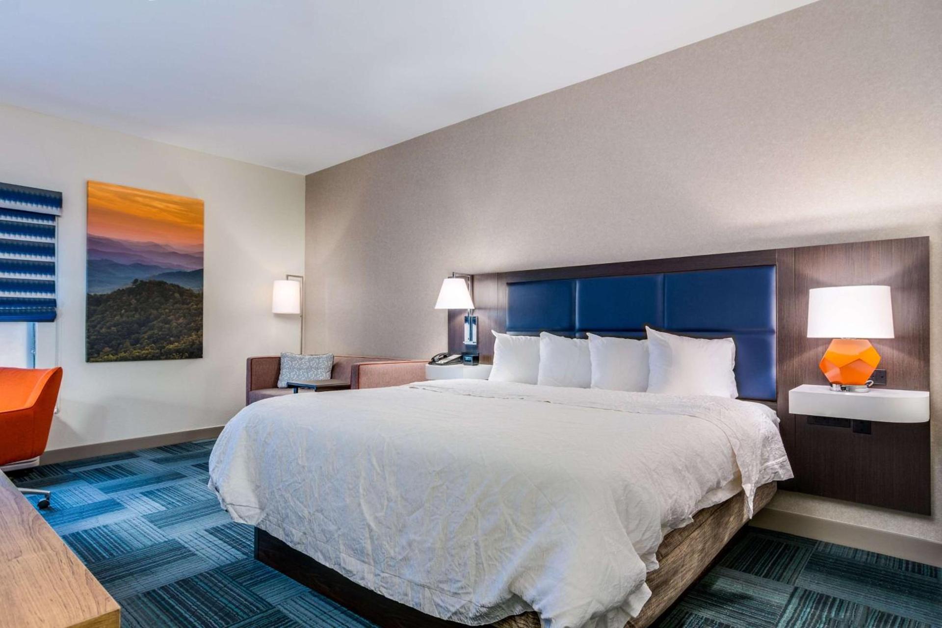 Hampton Inn Johnson City photo 33