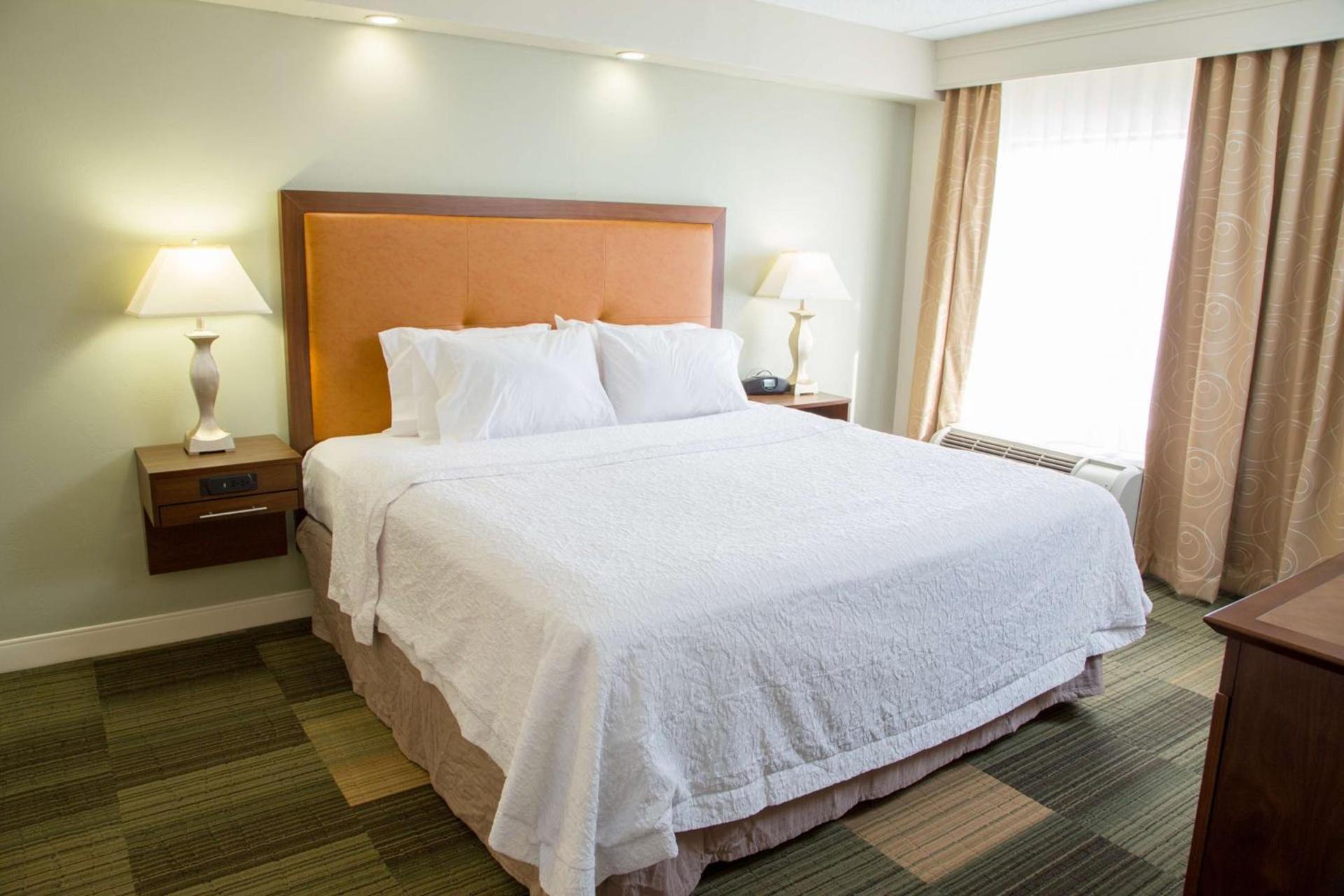 Hampton Inn & Suites Albany-Downtown photo 19