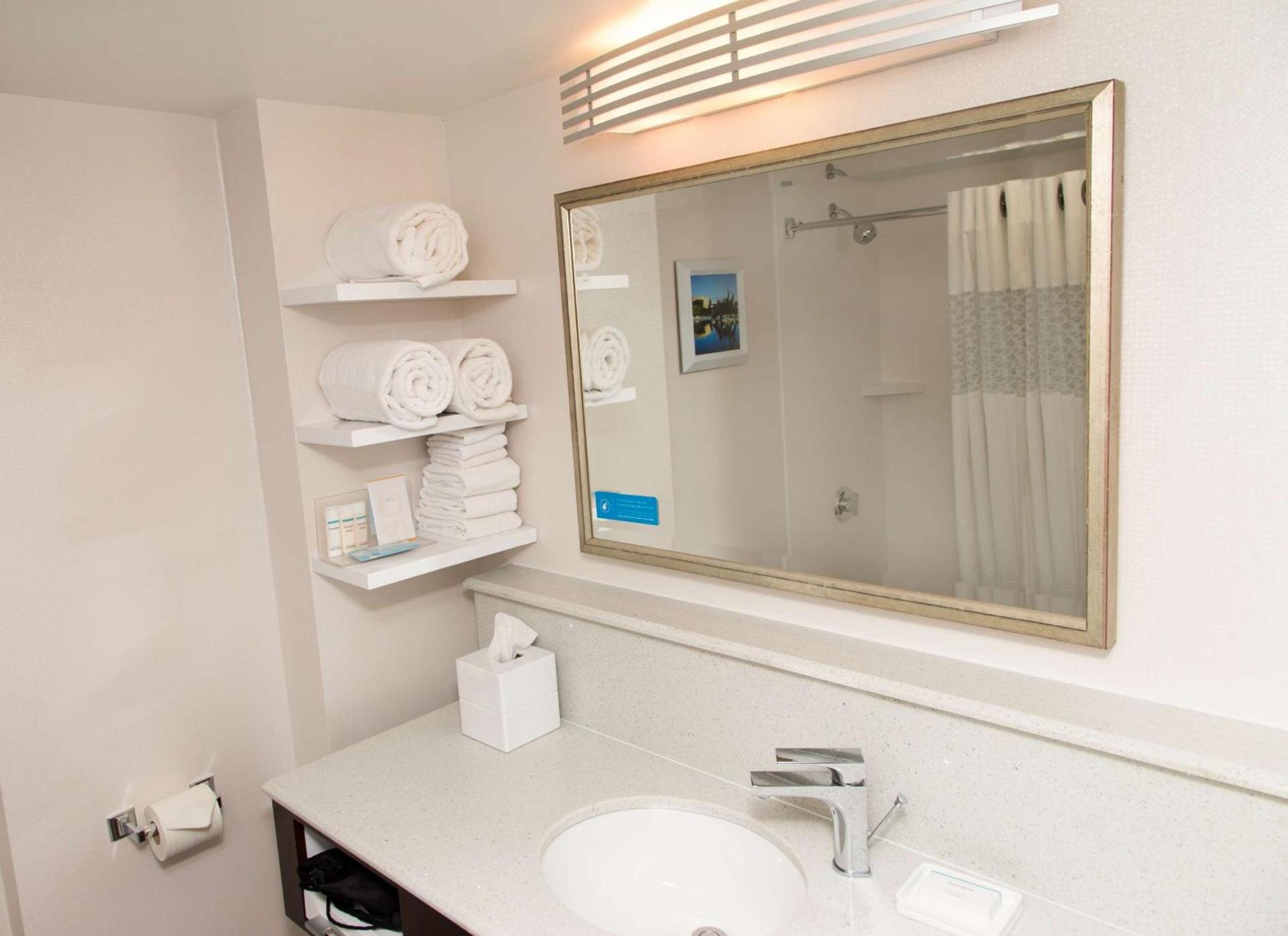 Hampton Inn & Suites Albany-Downtown photo 25
