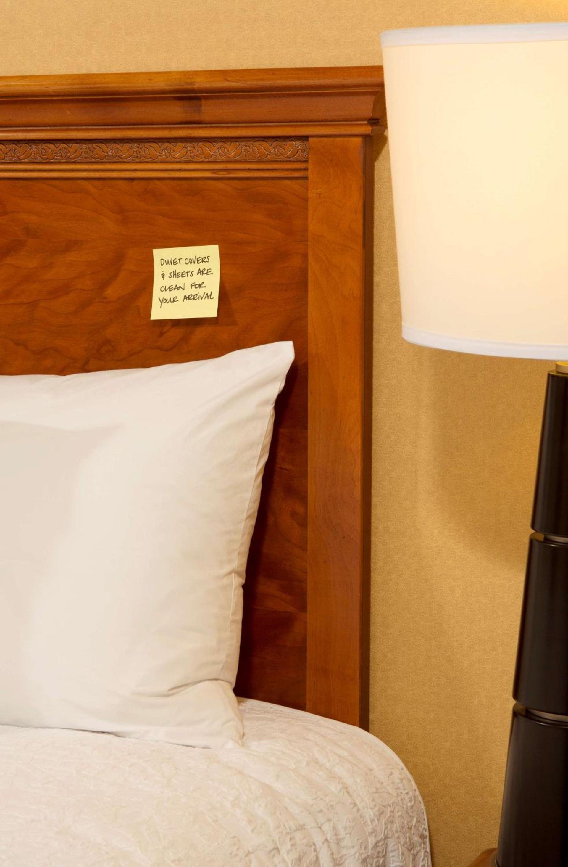 Hampton Inn Alexandria photo 15