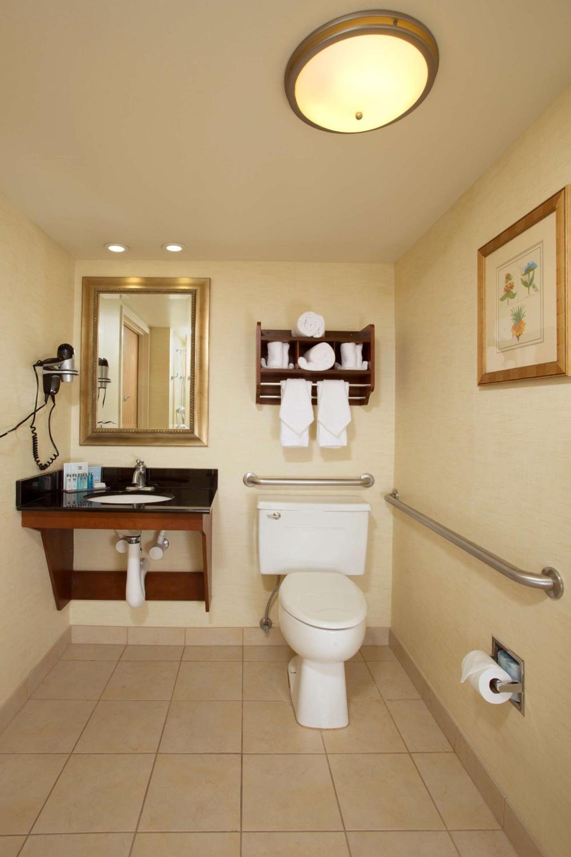Hampton Inn Alexandria photo 18