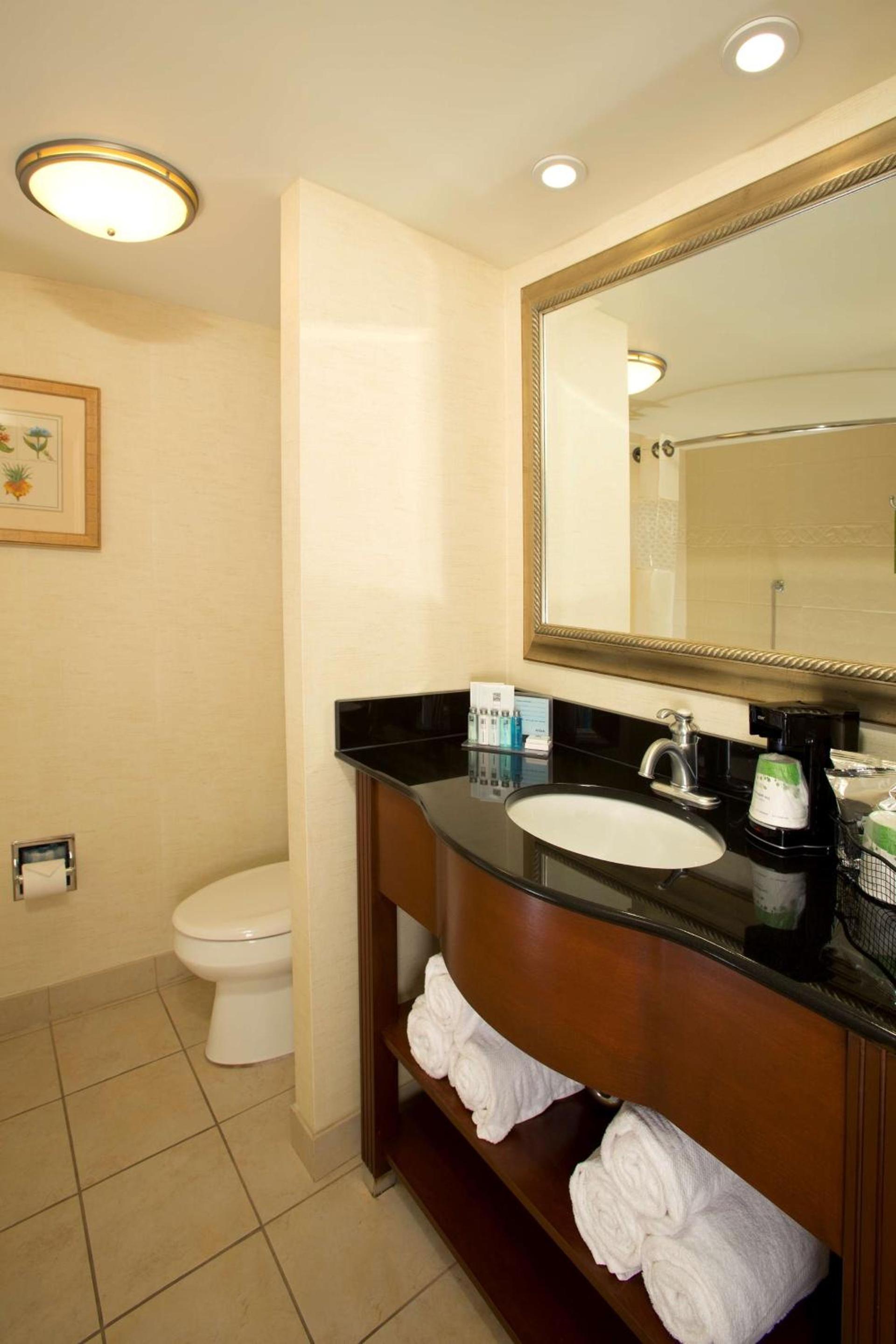 Hampton Inn Alexandria photo 19