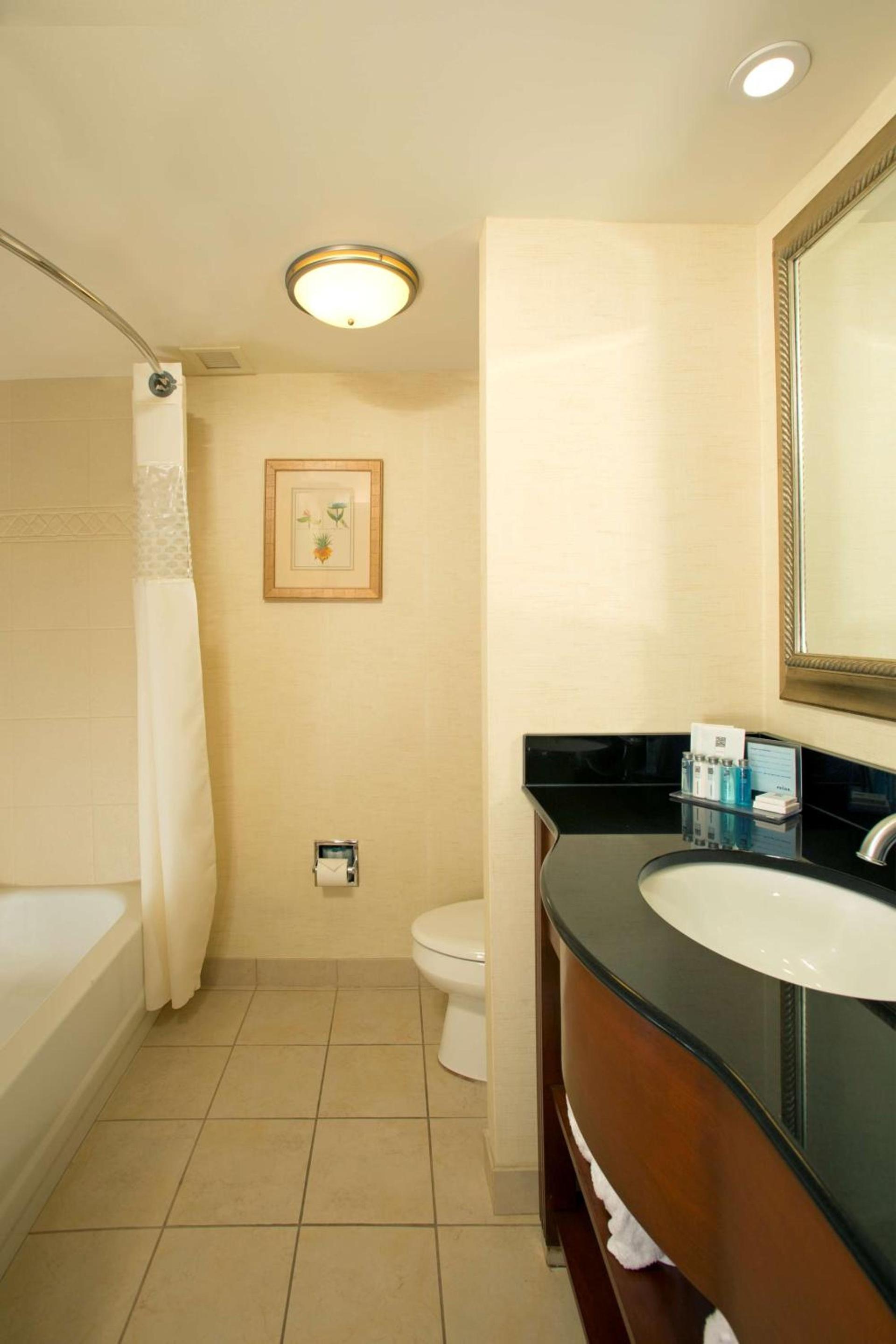 Hampton Inn Alexandria photo 27