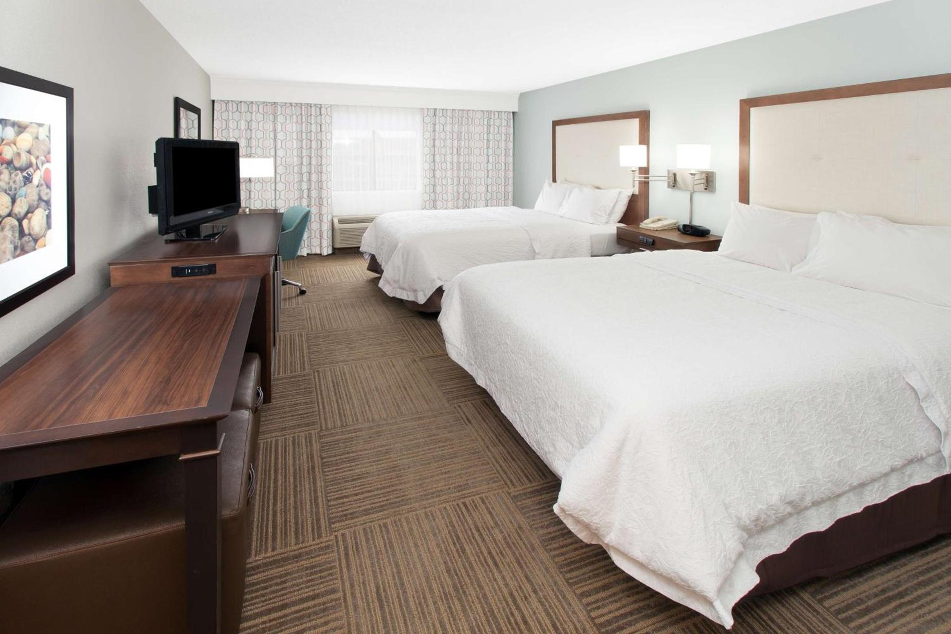 Hampton Inn Birch Run photo 16
