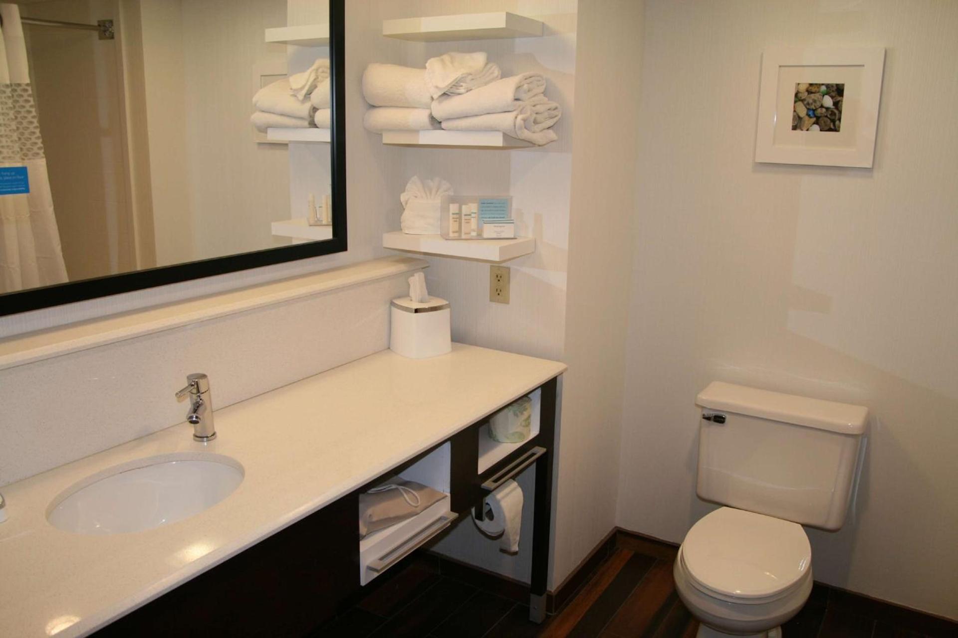 Hampton Inn Birch Run photo 17