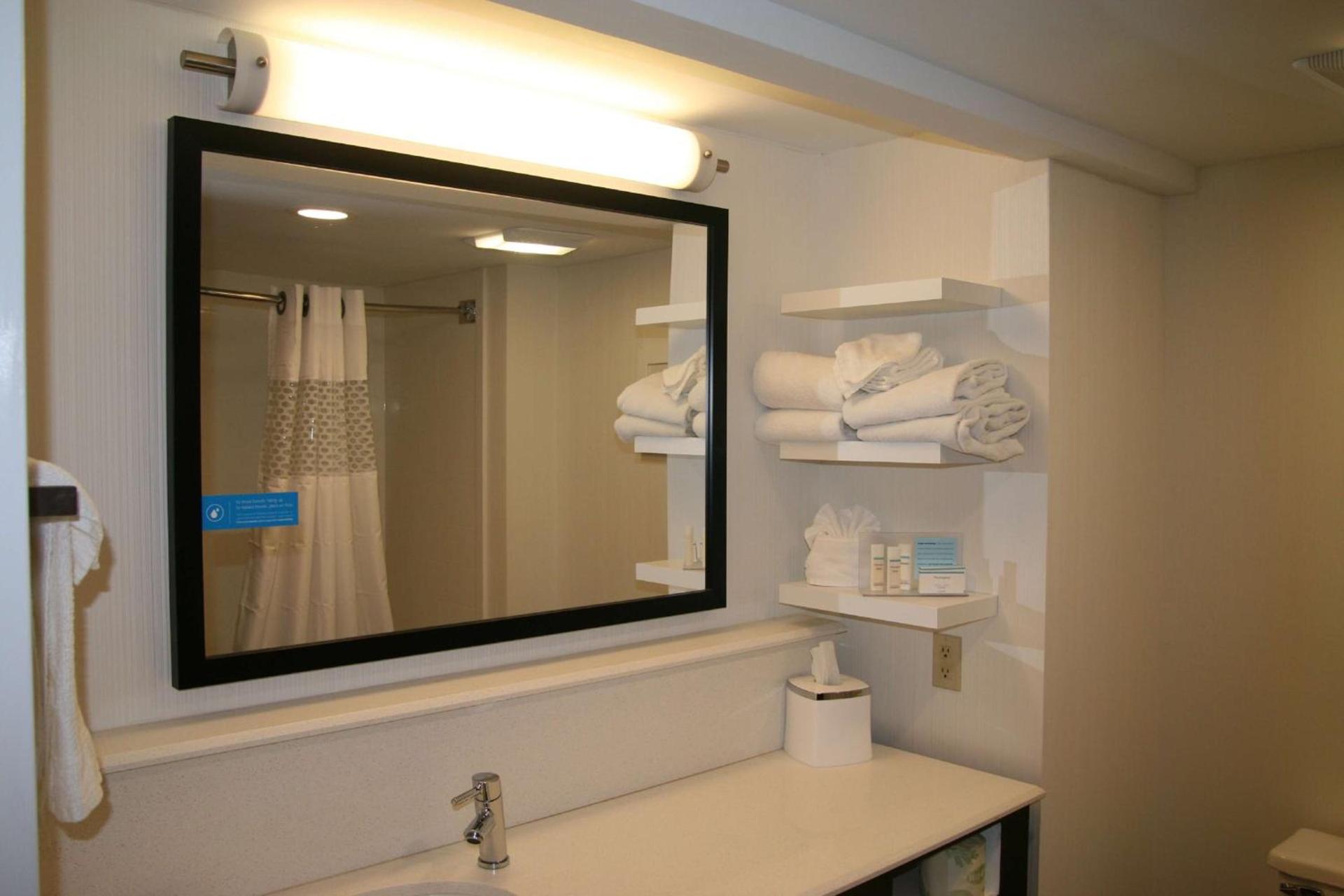 Hampton Inn Birch Run photo 19