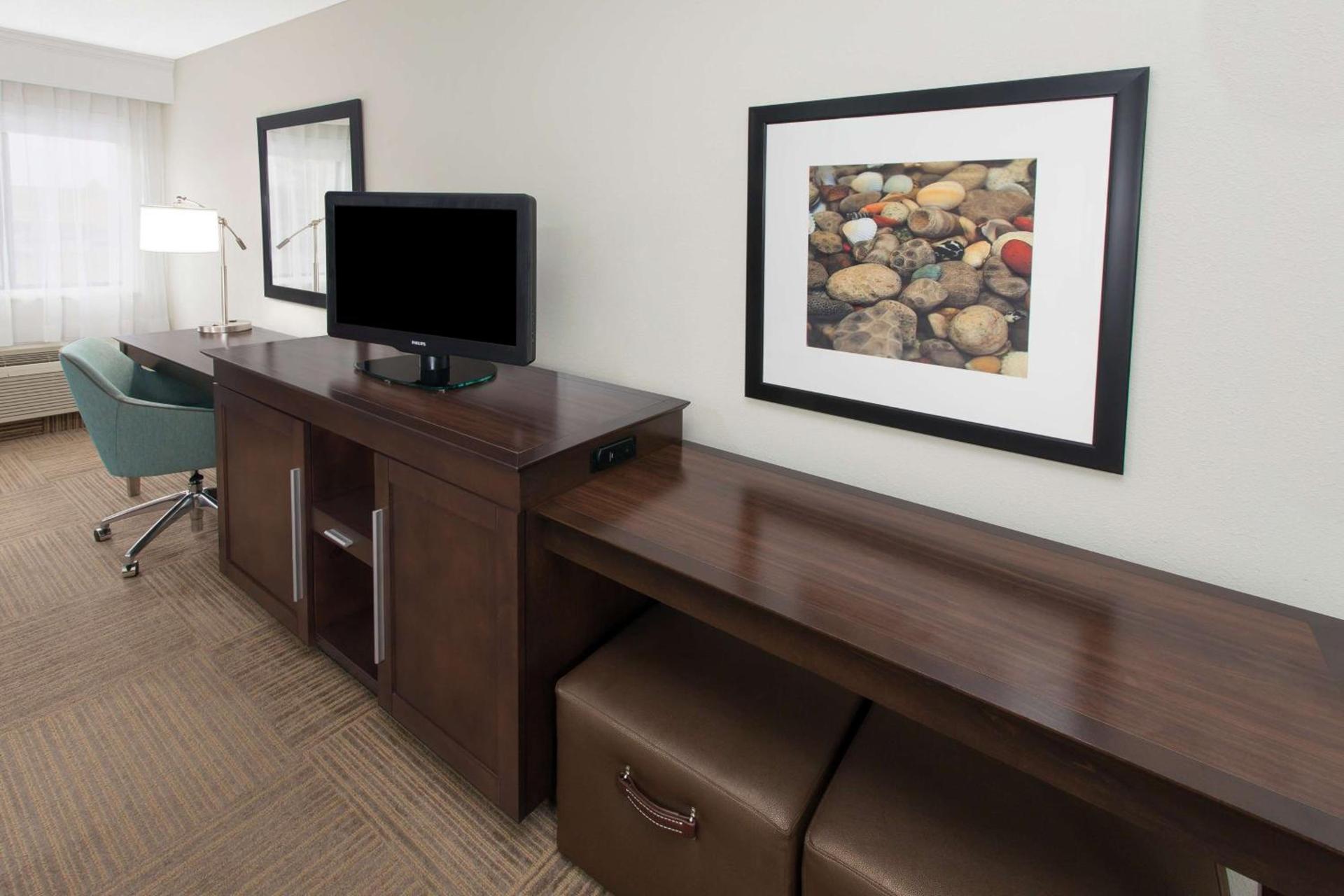 Hampton Inn Birch Run photo 23