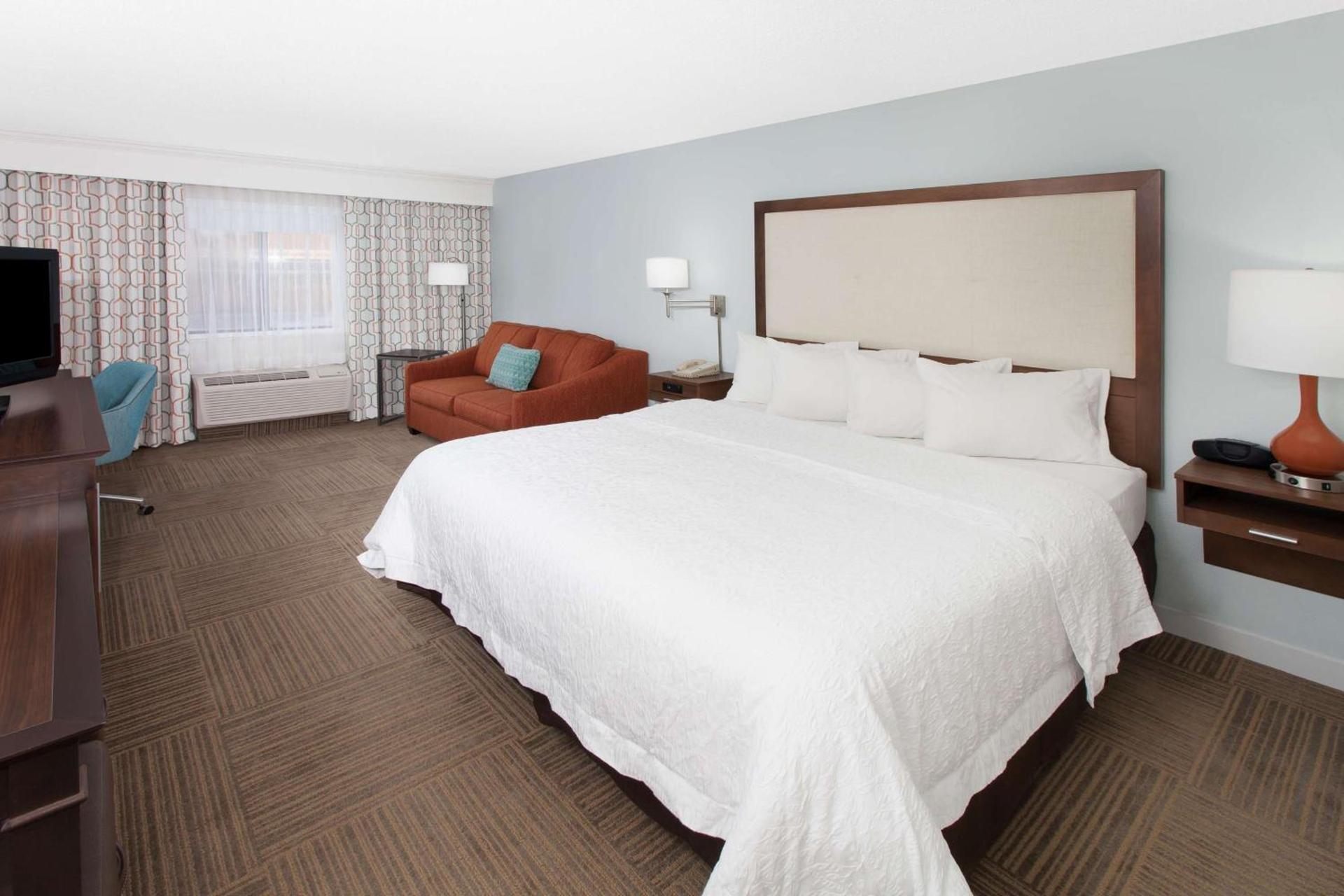 Hampton Inn Birch Run photo 25