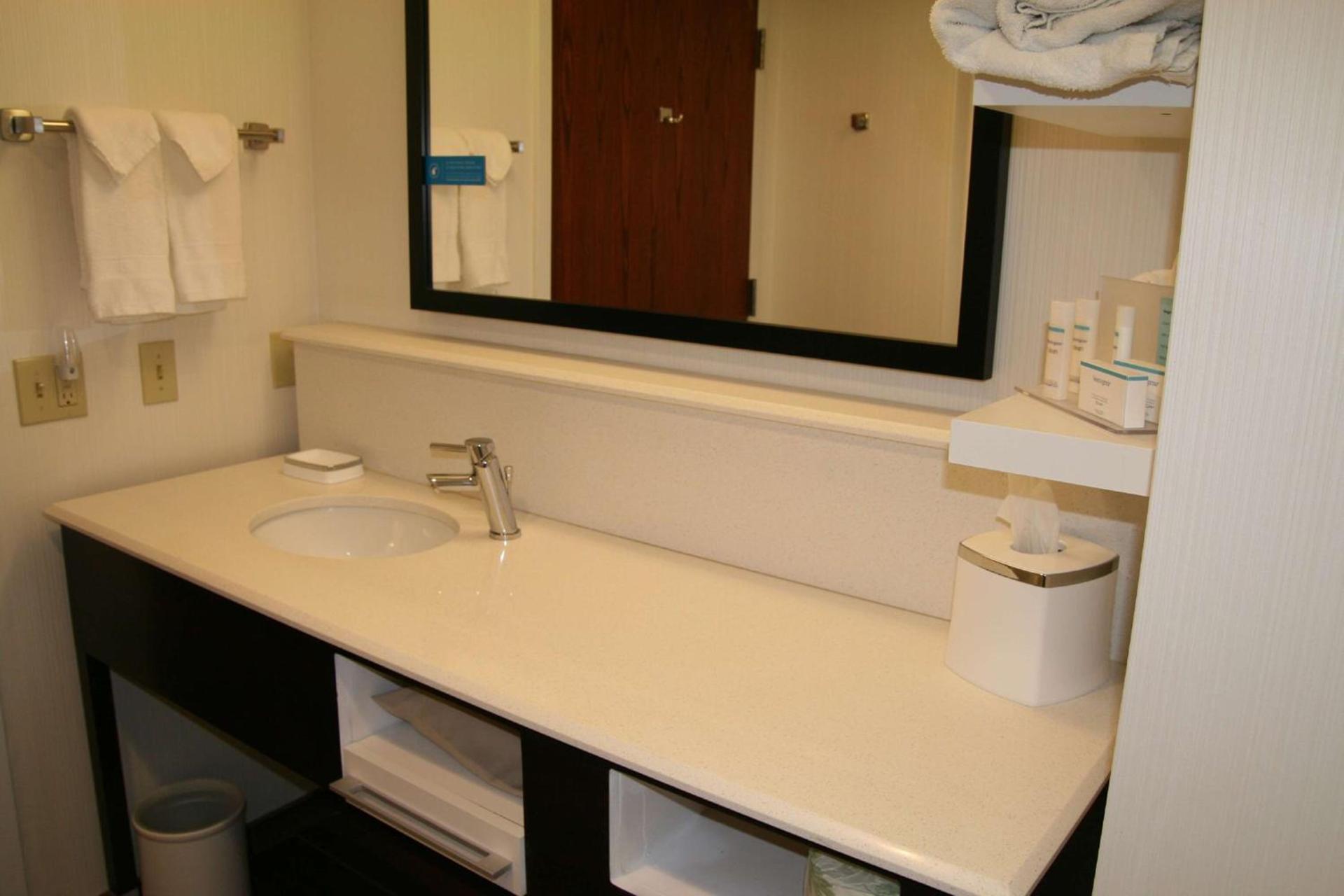 Hampton Inn Birch Run photo 29