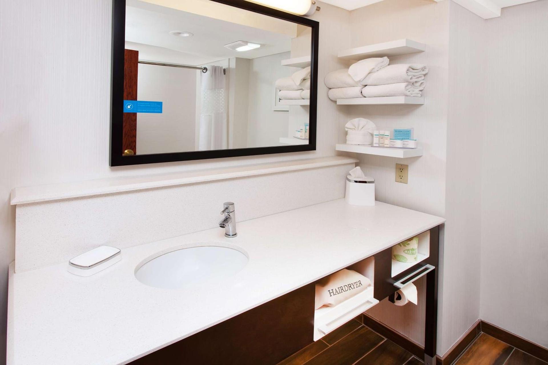 Hampton Inn Birch Run photo 27