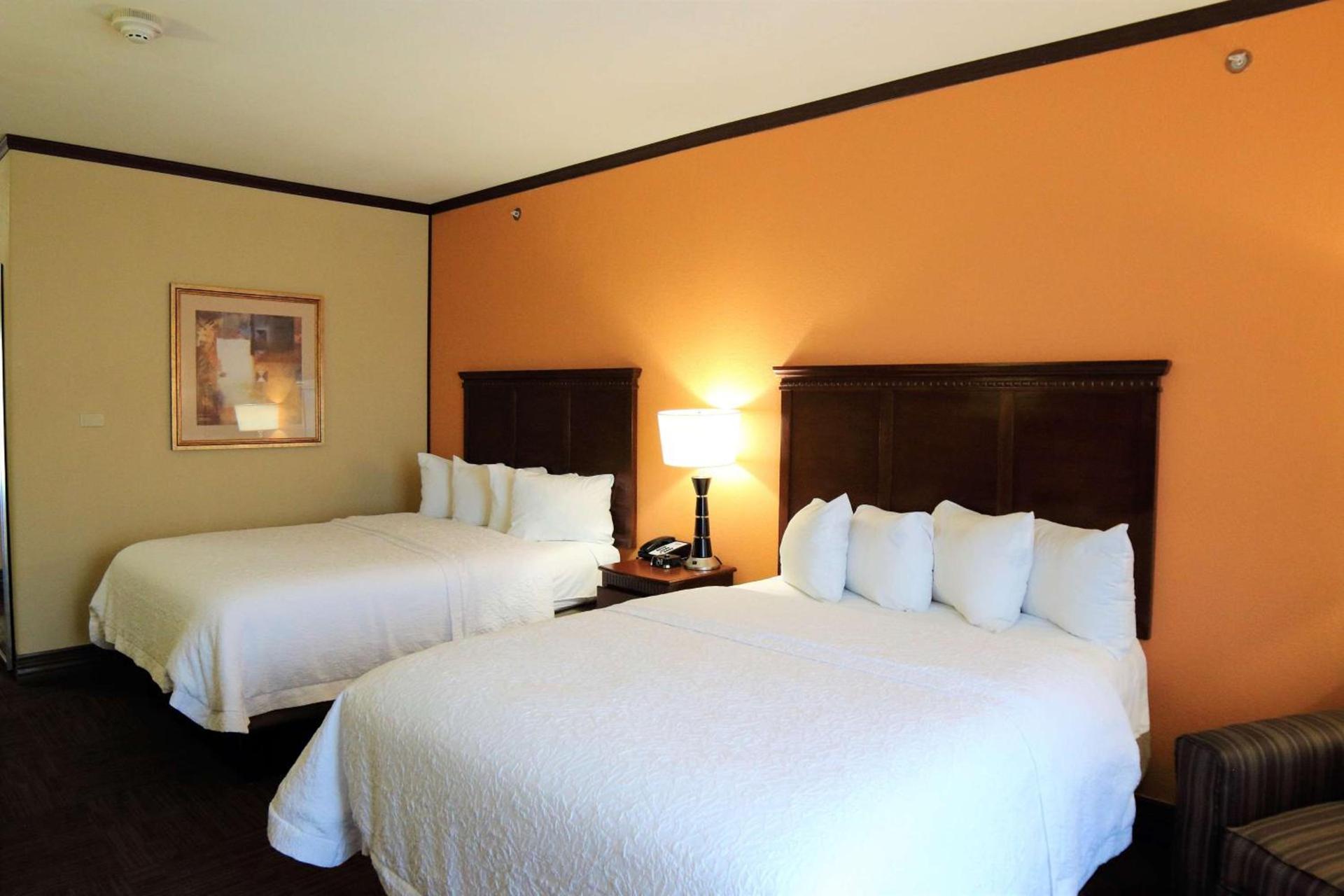 Hampton Inn Seguin photo 43