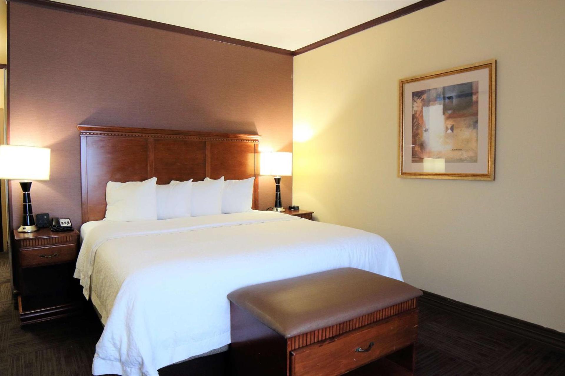 Hampton Inn Seguin photo 45