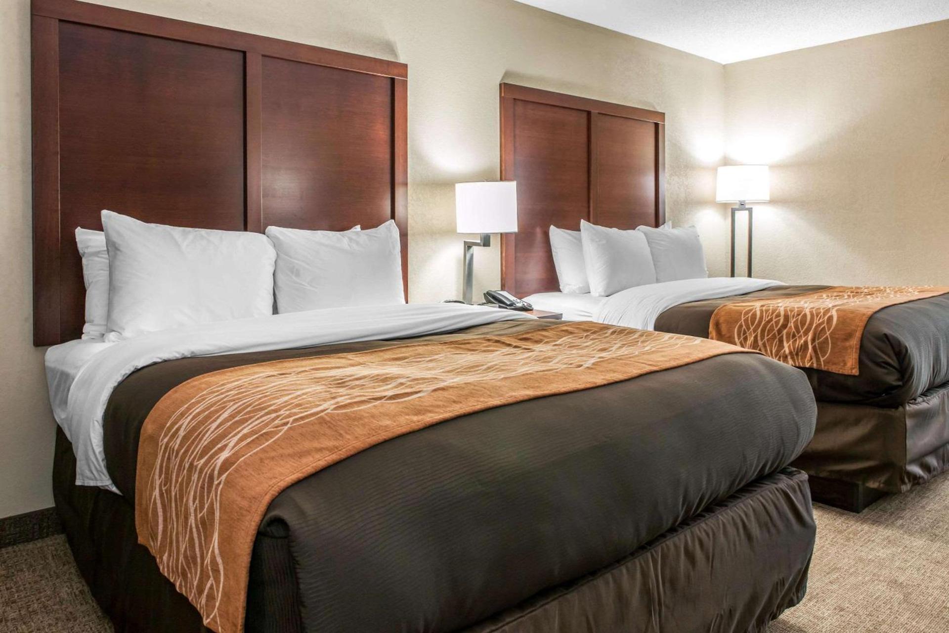 Comfort Inn Blue Ash North photo 6