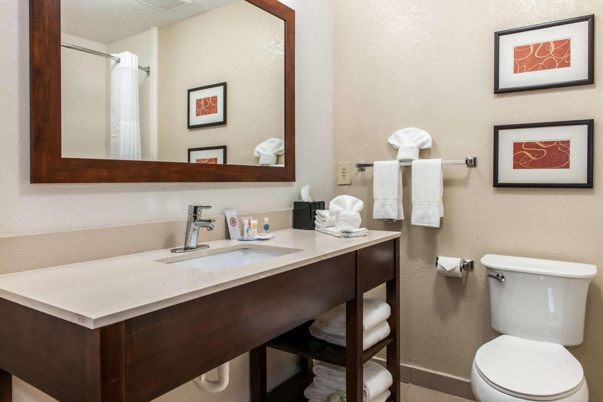 Comfort Inn Blue Ash North photo 15