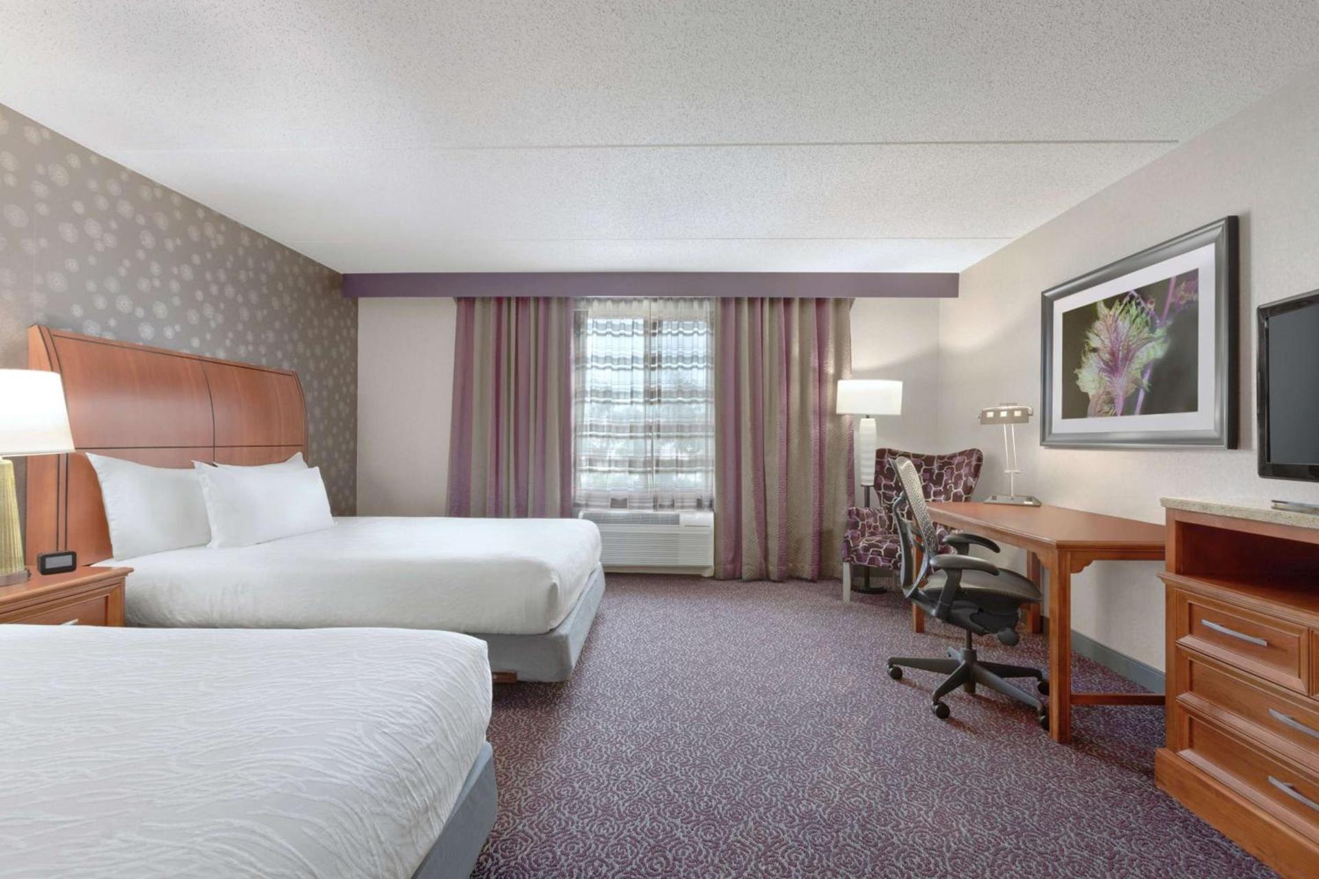 Hilton Garden Inn Springfield, MA photo 7