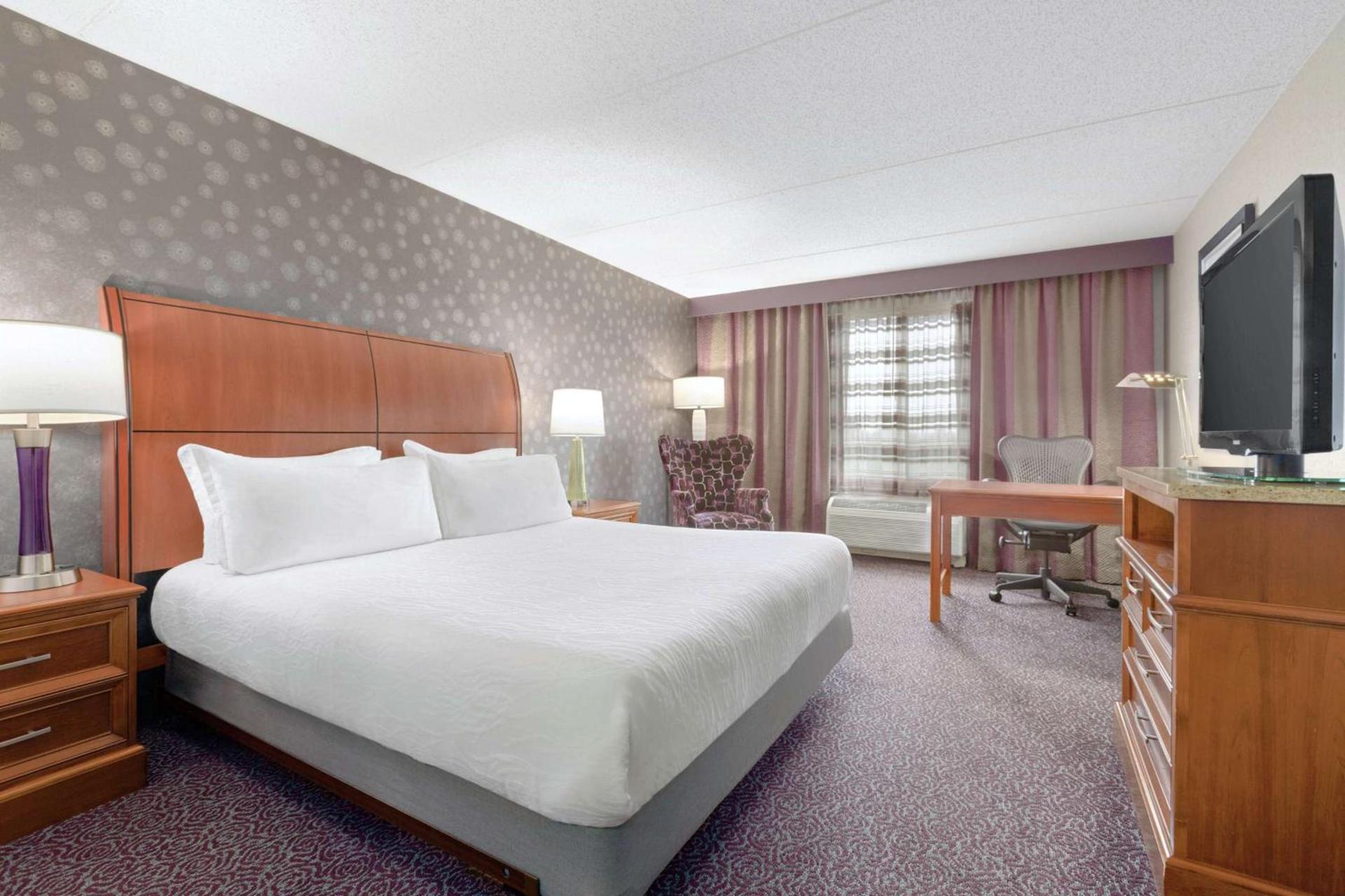 Hilton Garden Inn Springfield, MA photo 10