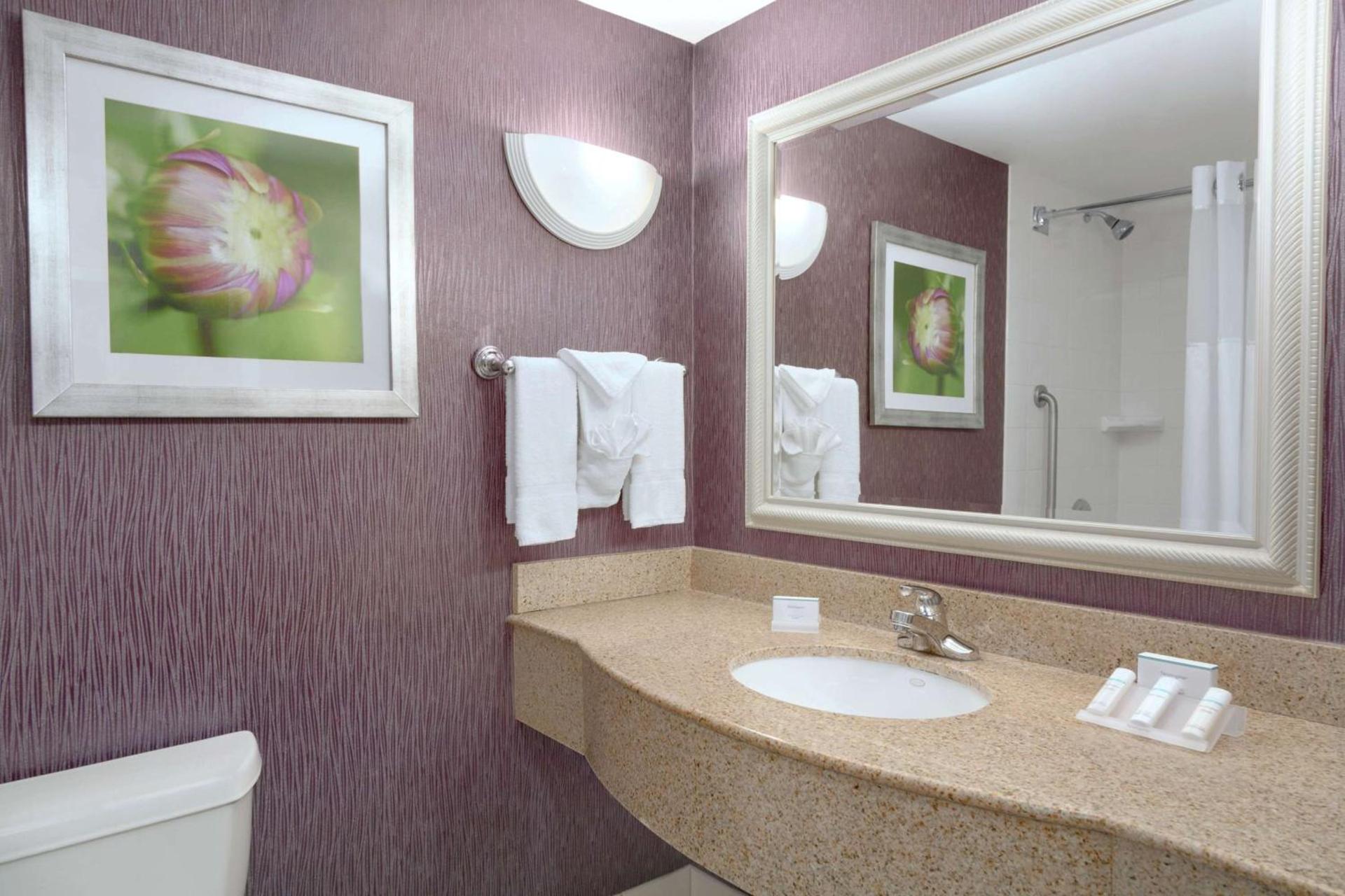 Hilton Garden Inn Springfield, MA photo 11