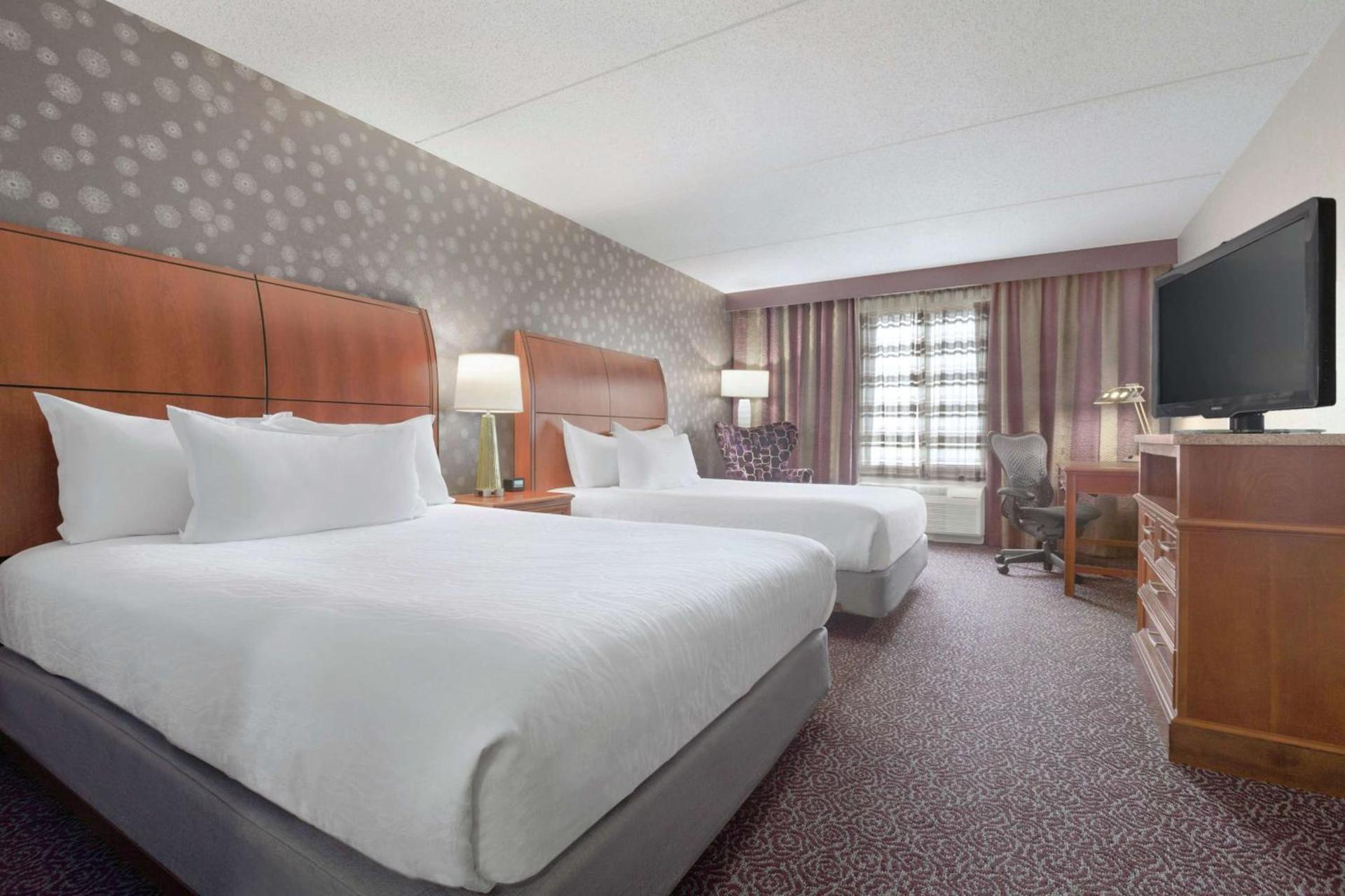Hilton Garden Inn Springfield, MA photo 12