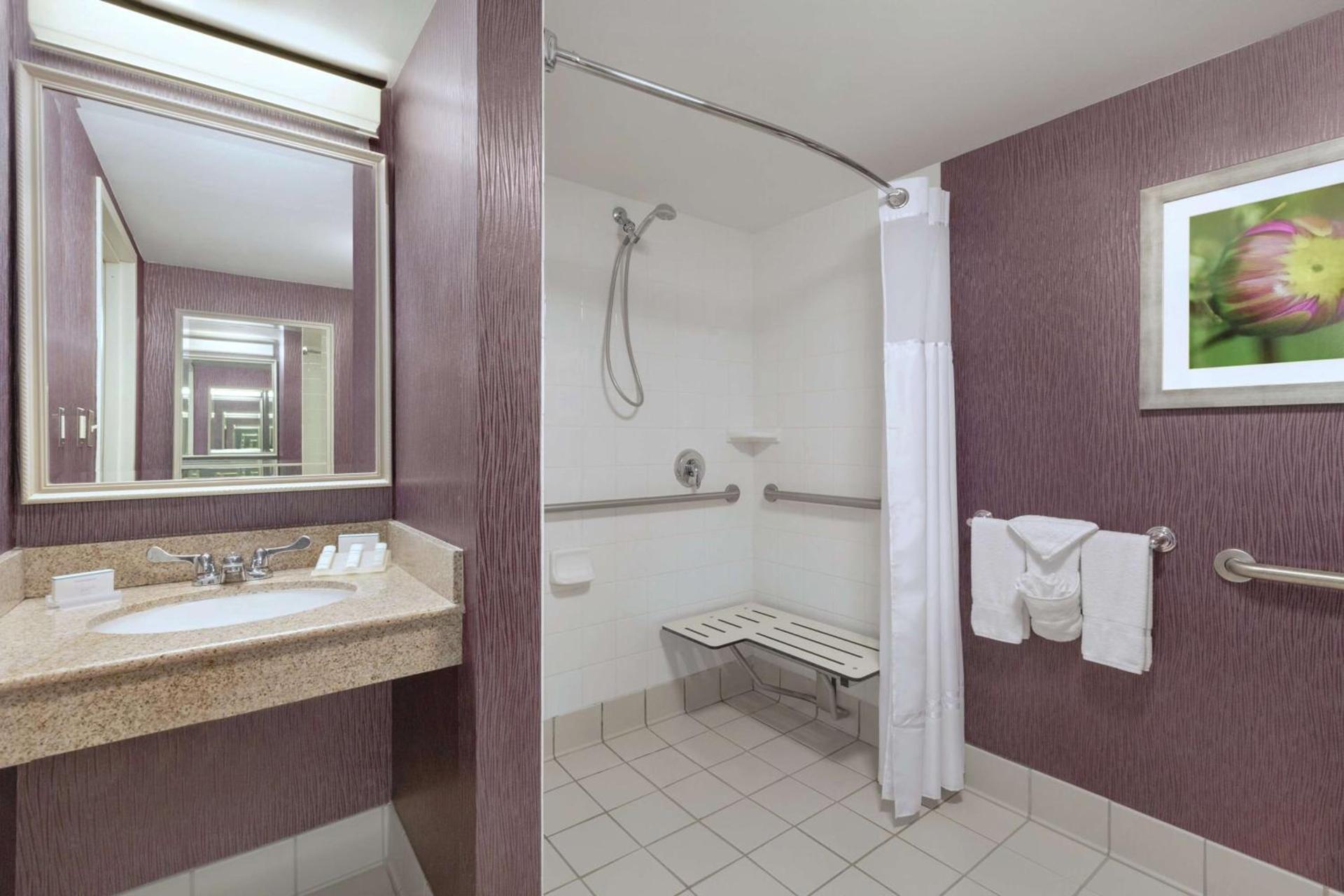 Hilton Garden Inn Springfield, MA photo 13