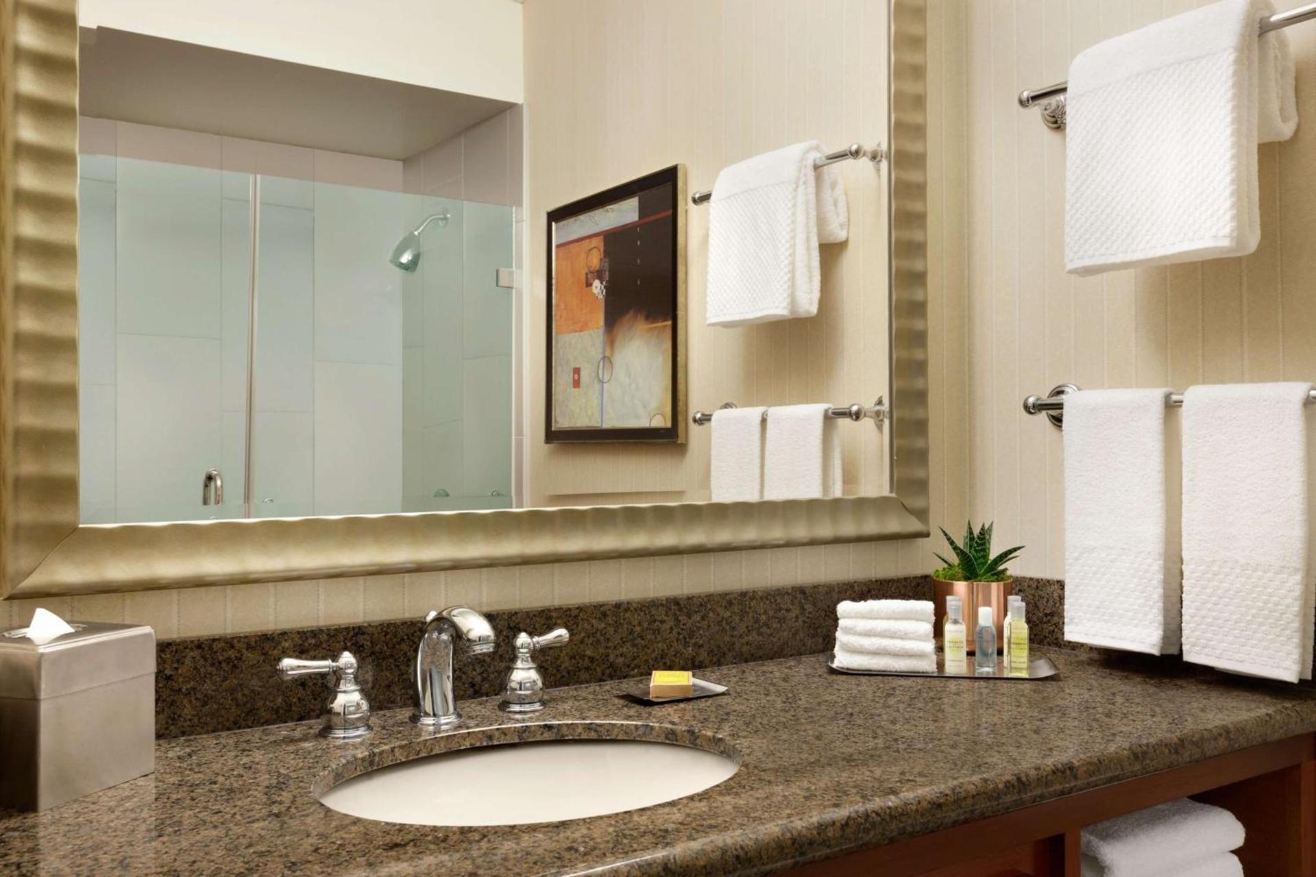 DoubleTree by Hilton Minneapolis Park Place photo 28