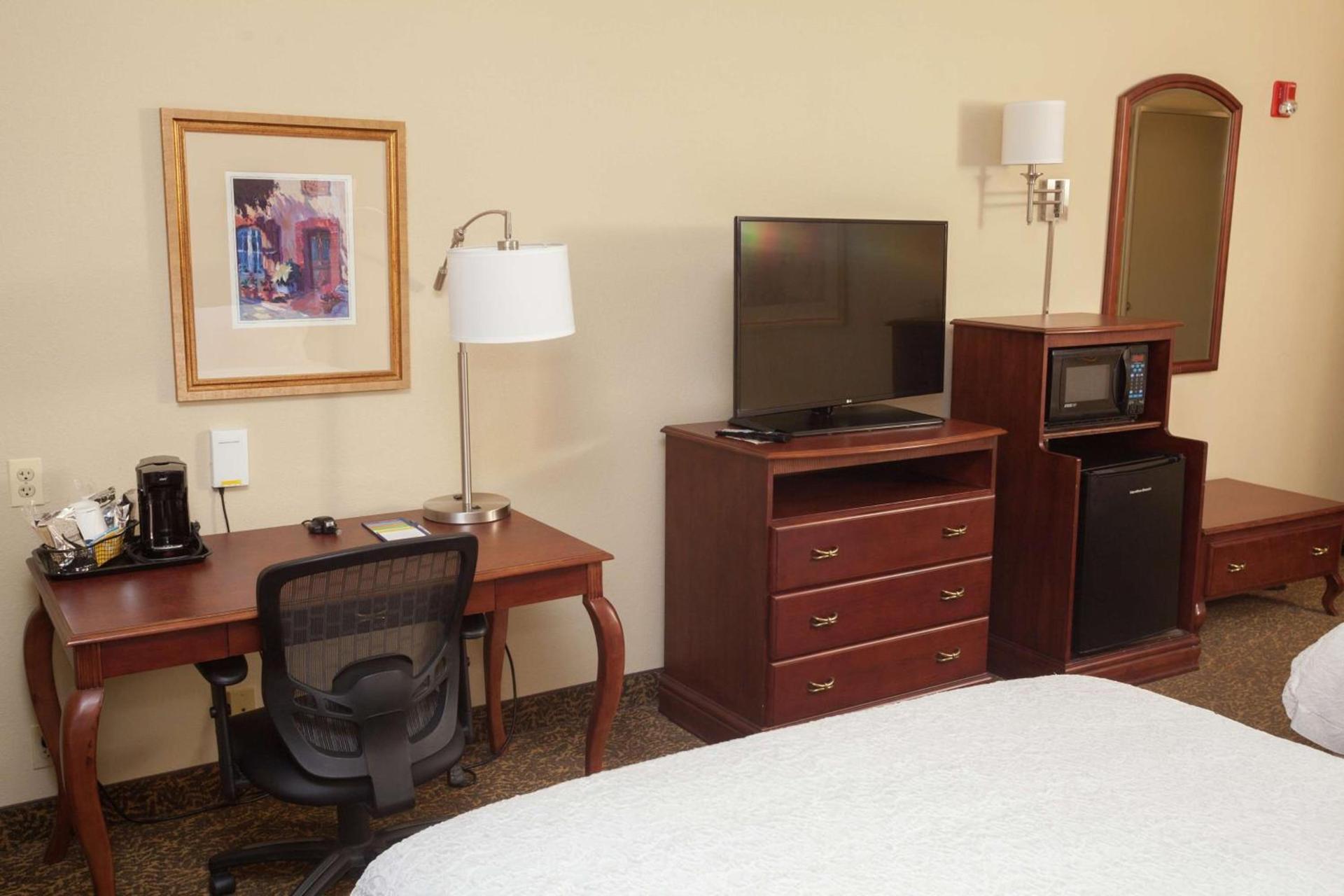 Hampton Inn Oneonta photo 10