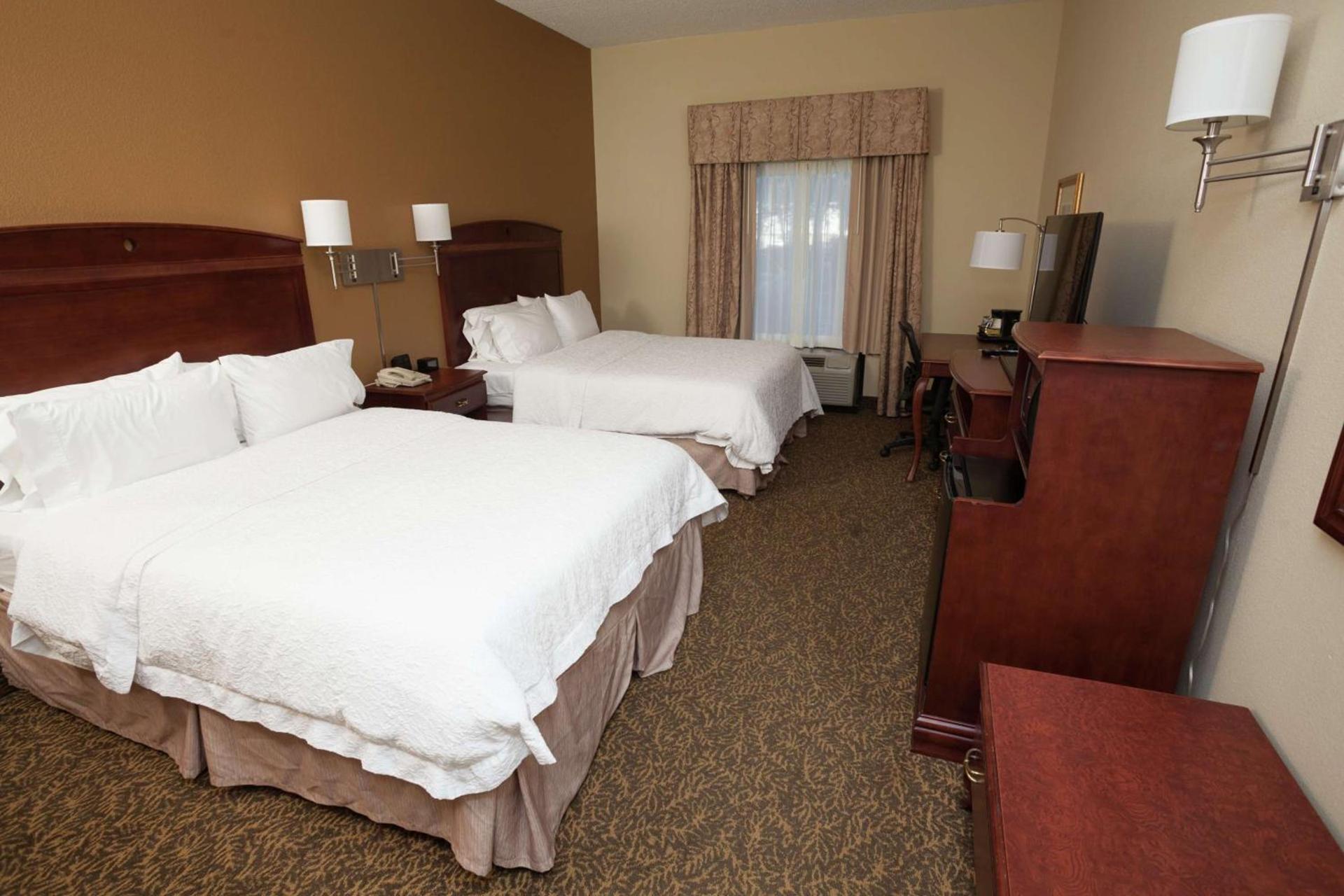 Hampton Inn Oneonta photo 13