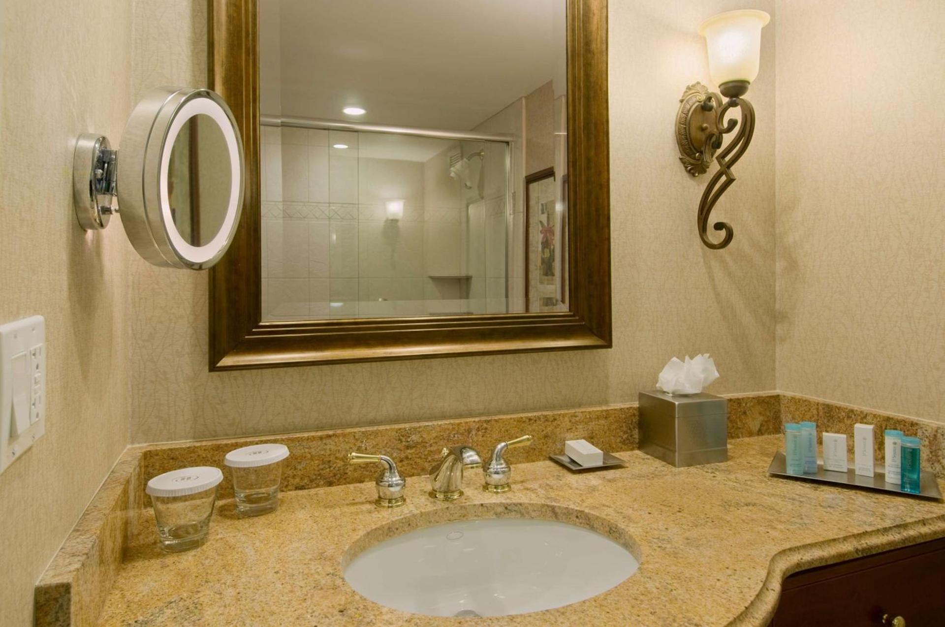 DoubleTree by Hilton Lisle Naperville photo 12