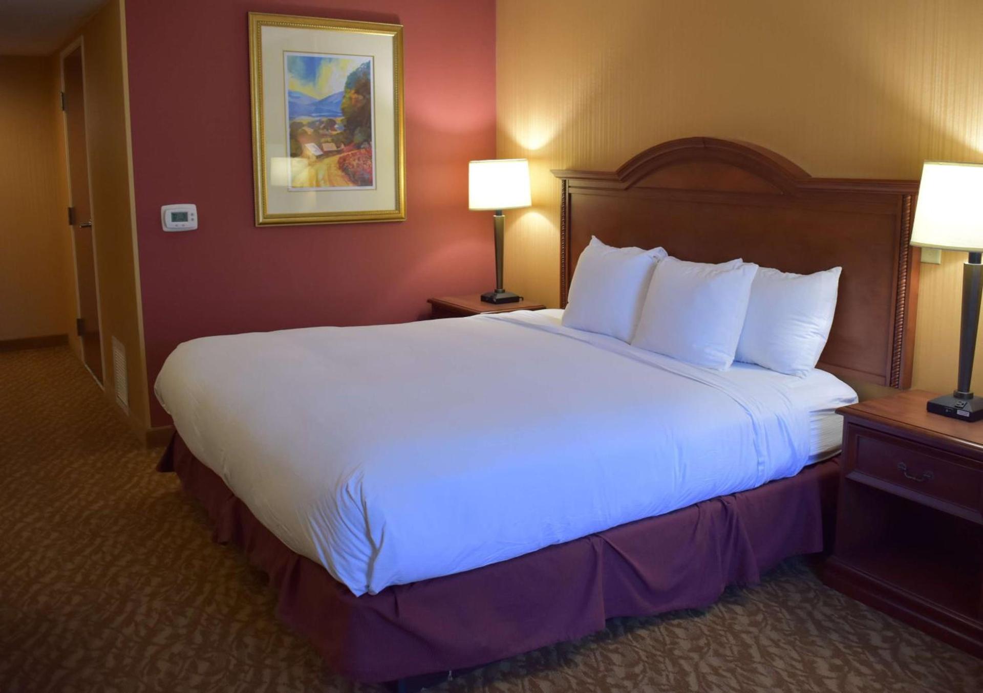 DoubleTree by Hilton Biltmore/Asheville photo 19