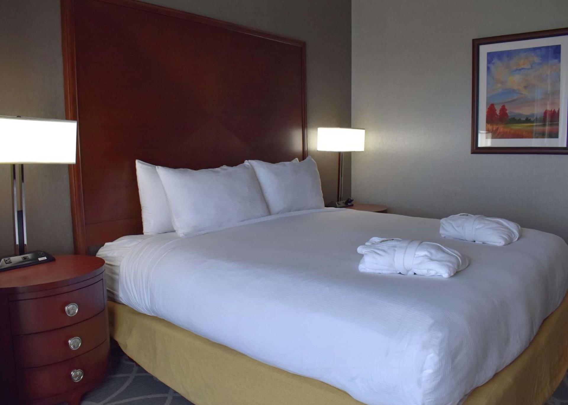DoubleTree by Hilton Biltmore/Asheville photo 29
