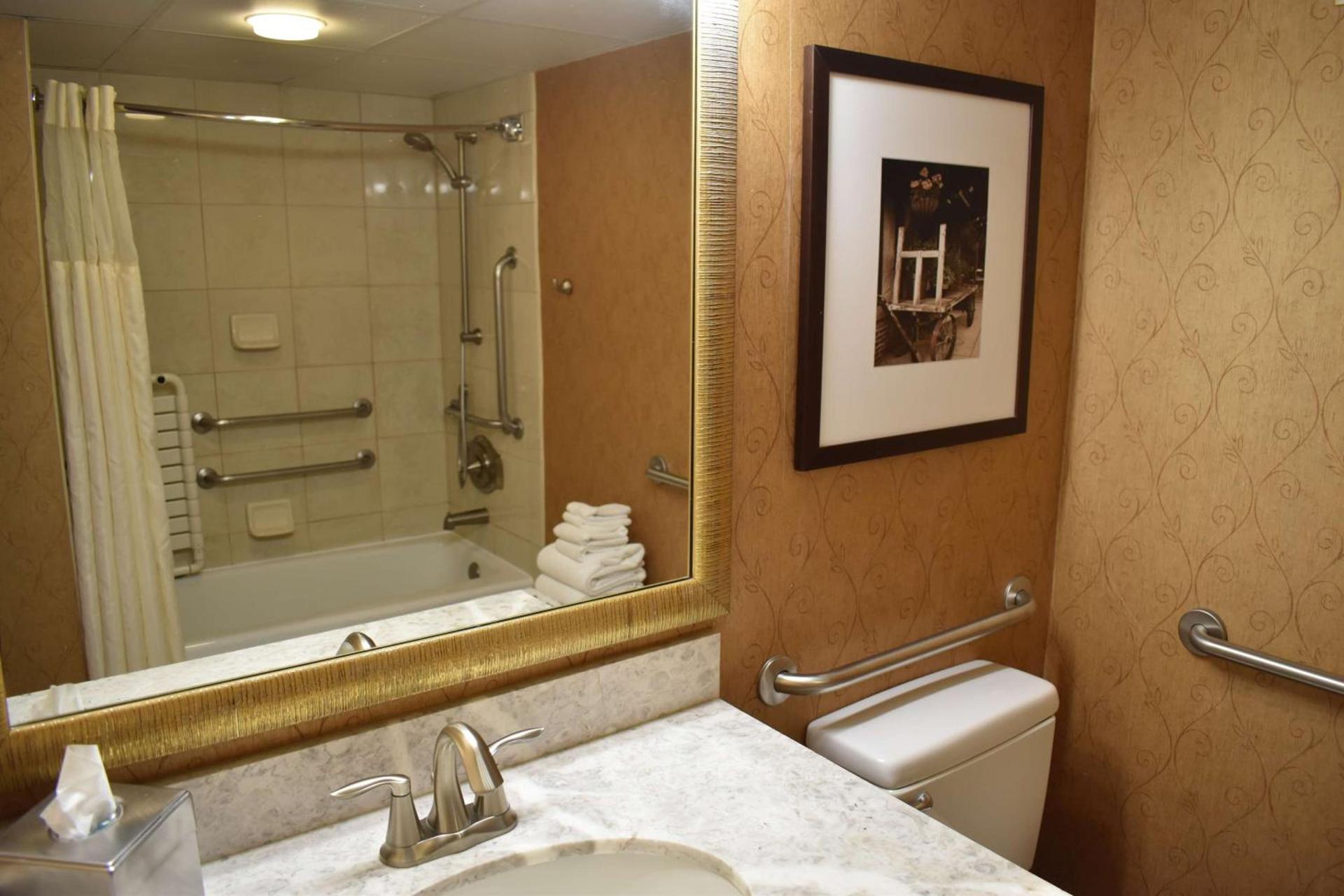 DoubleTree by Hilton Biltmore/Asheville photo 32