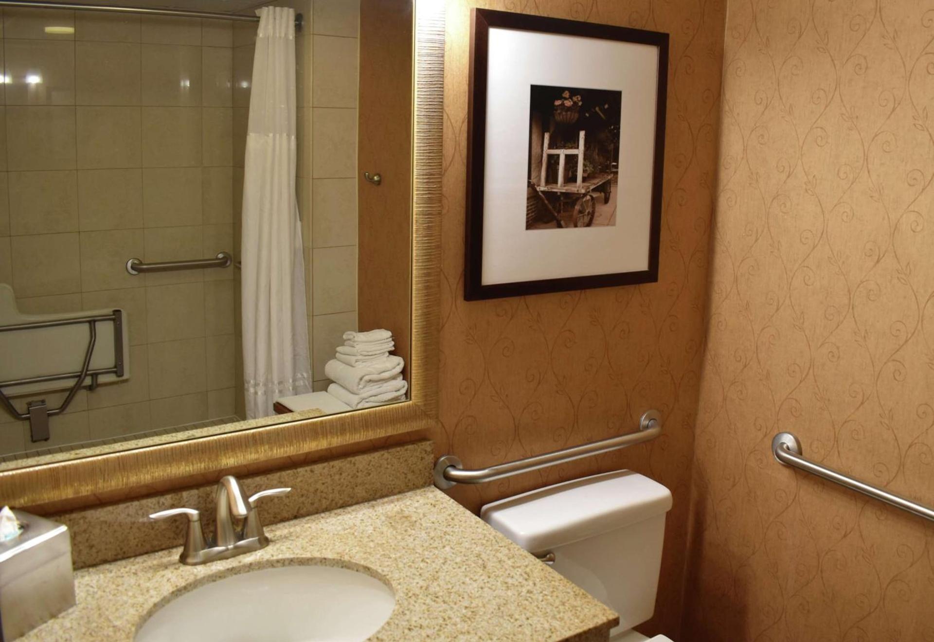 DoubleTree by Hilton Biltmore/Asheville photo 38