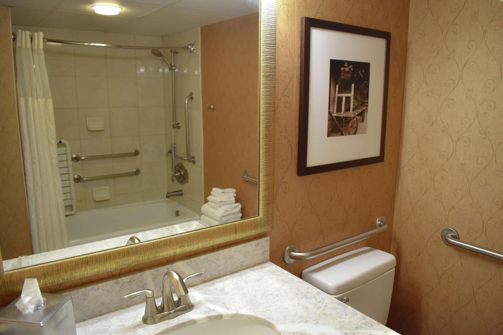 DoubleTree by Hilton Biltmore/Asheville photo 41