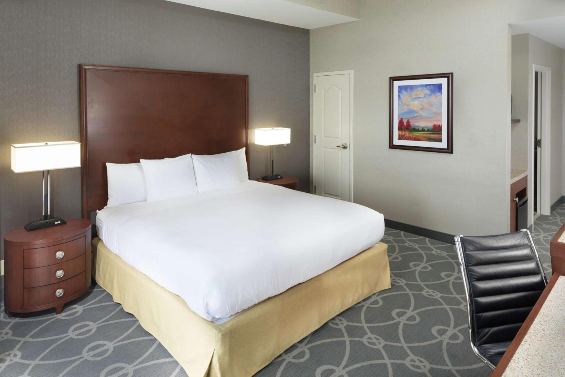 DoubleTree by Hilton Biltmore/Asheville photo 43