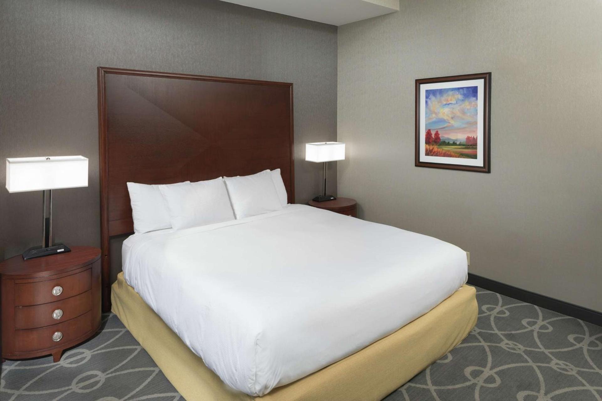 DoubleTree by Hilton Biltmore/Asheville photo 44