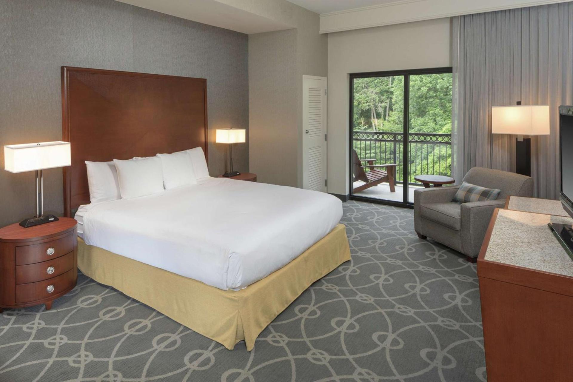 DoubleTree by Hilton Biltmore/Asheville photo 49
